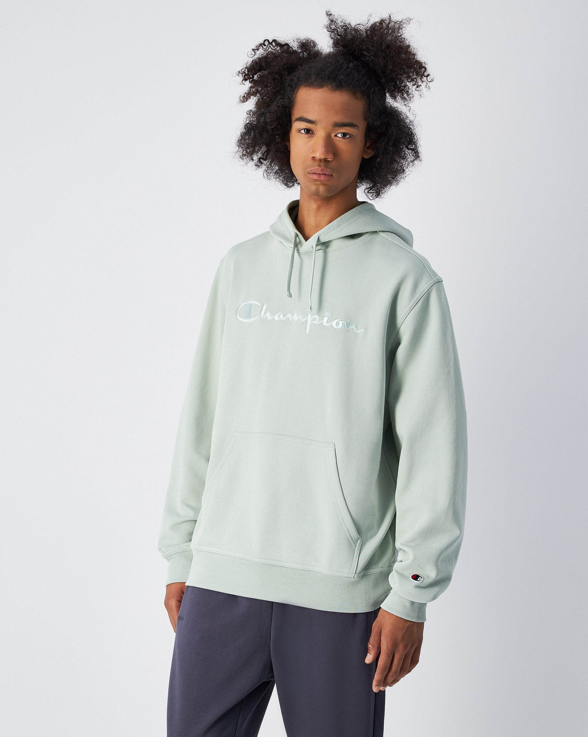 Champion Kapuzensweatshirt ICONS TONAL Terry Hoodie günstig online kaufen