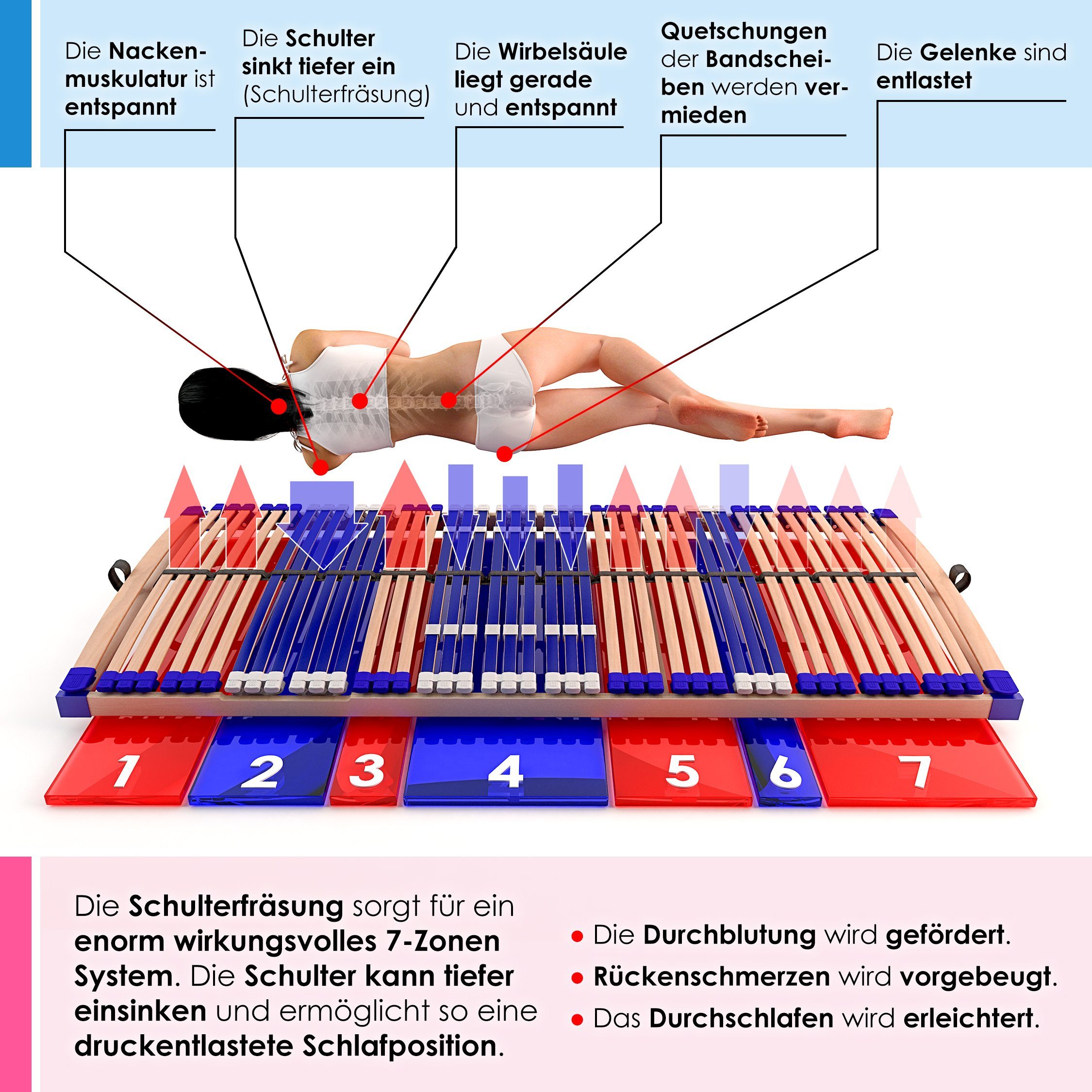 Lattenrost Comfort 44® Fix, Schlummerparadies, Kopfteil nicht verstellbar, Fußteil nicht verstellbar, aus 100% BUCHE, 10 Jahre Garantie, fertig montiert, SCHULTERFRÄSUNG