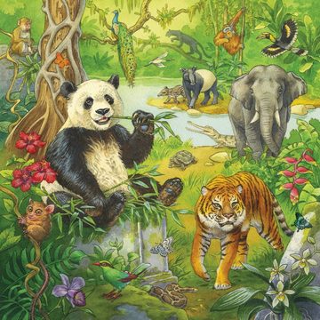 Ravensburger Puzzle 3 x 49 Teile Ravensburger Kinder Puzzle Im Urwald 05180, 49 Puzzleteile