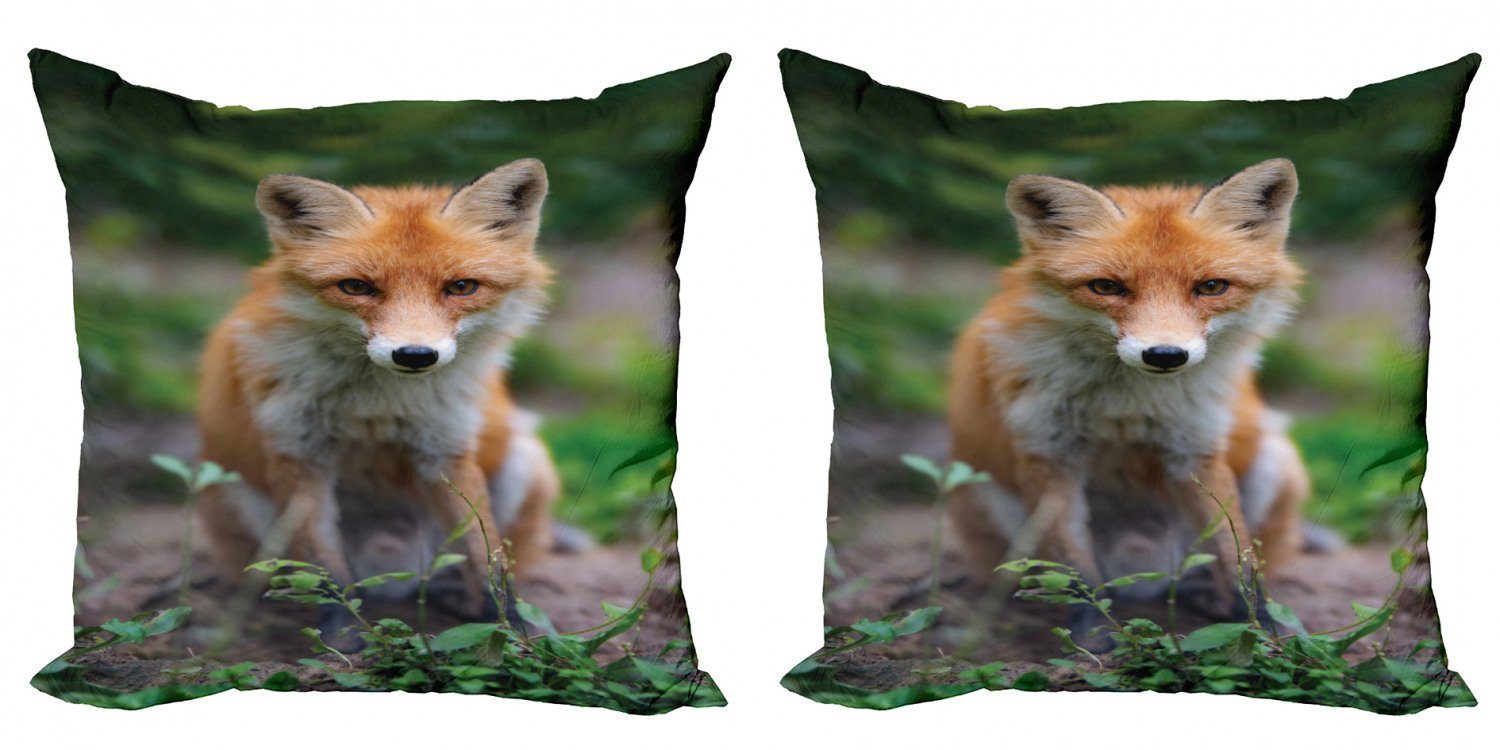 Kissenbezüge Modern Coyote (2 Doppelseitiger Fuchs Stück), Foto Abakuhaus Digitaldruck, Junge Accent