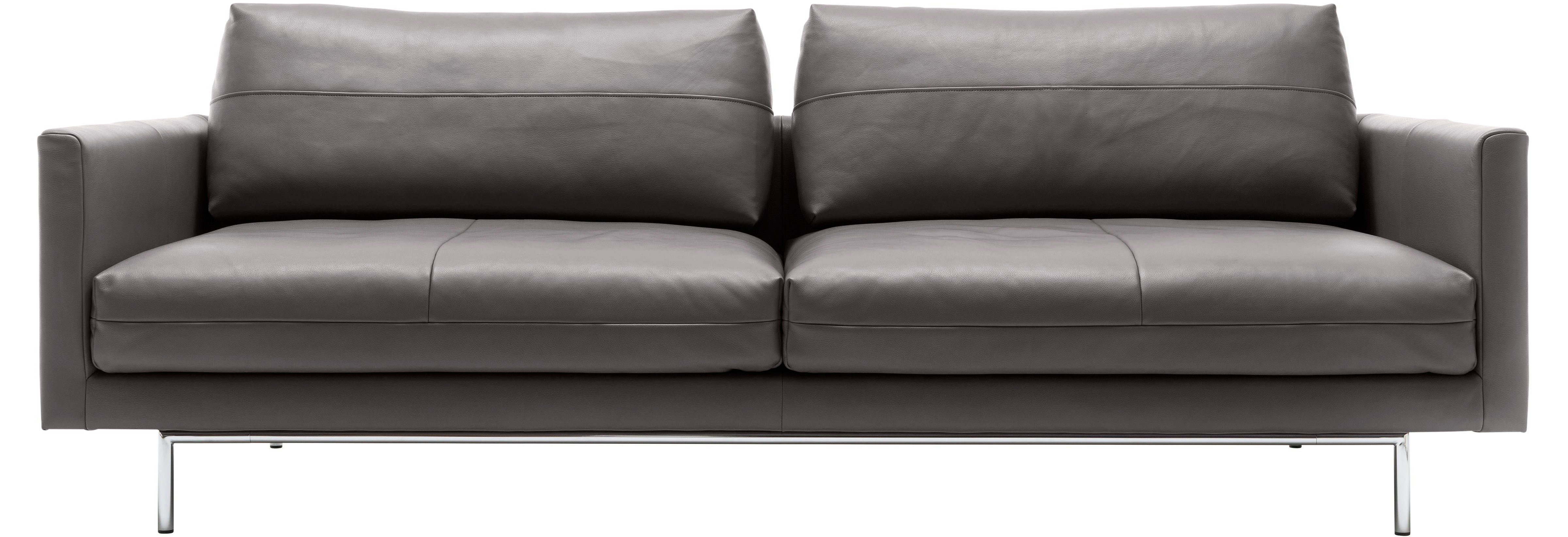 hülsta sofa 4-Sitzer graubraun | graubraun