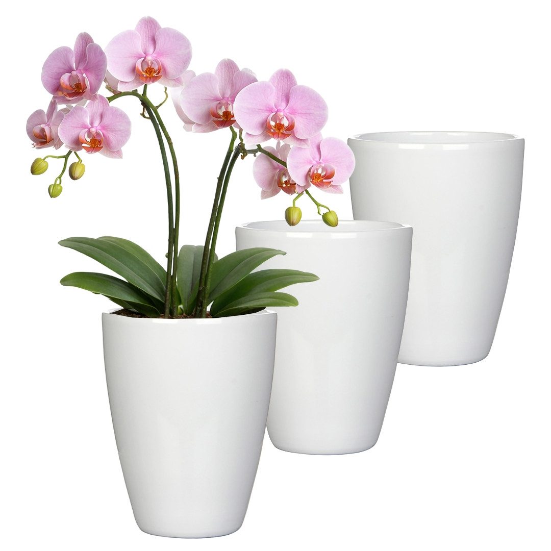 Annastore Übertopf 3 x Orchideentopf aus Keramik - Orchideenübertopf - Blumenübertopf, H 17 cm - Ø 13,5 cm