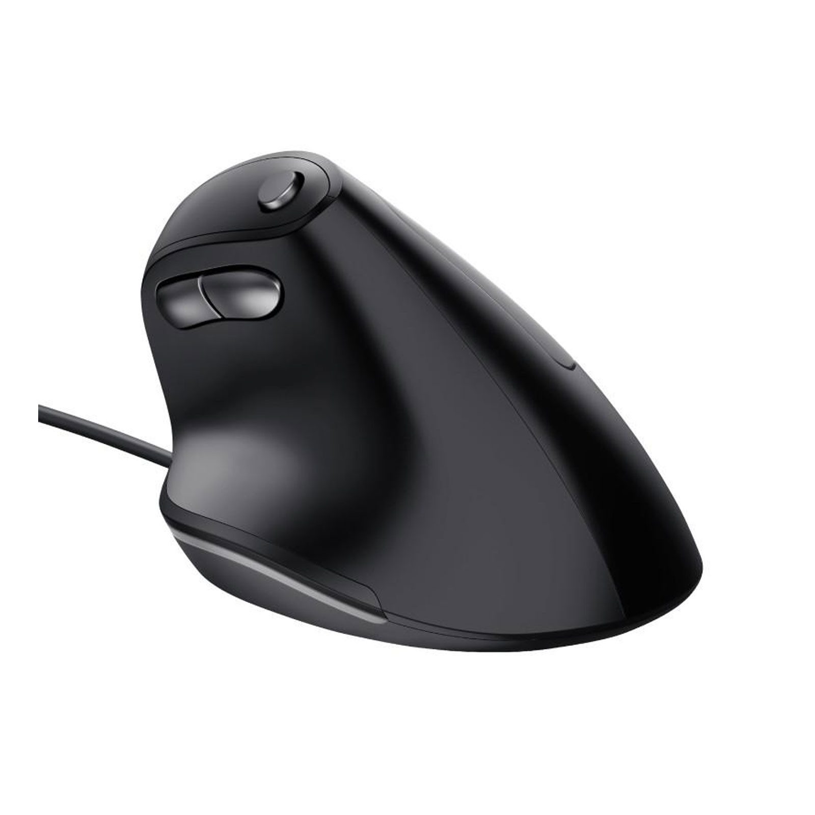 24635 Bayo Maus