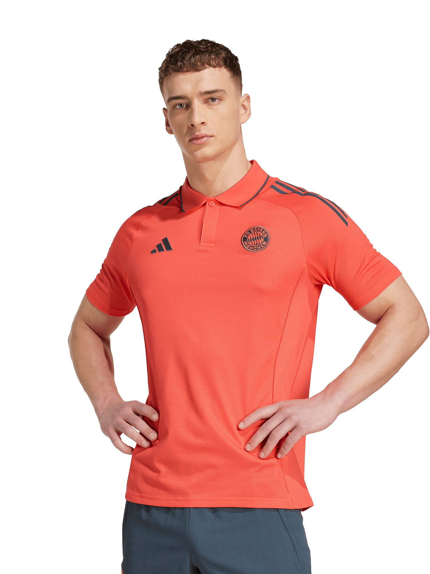 FC Bayern München Poloshirt FC Bayern München, Polo Teamline, Herren