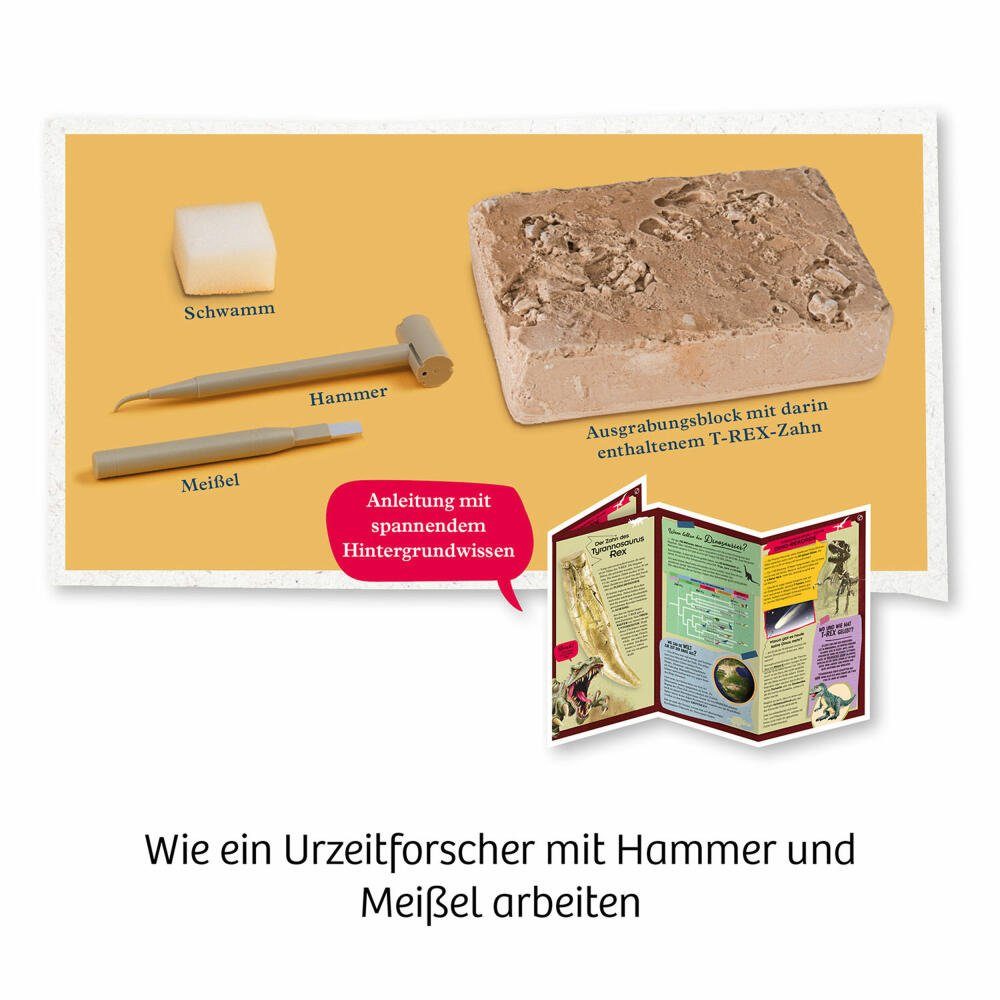 Kosmos Kreativset T-Rex Zahn