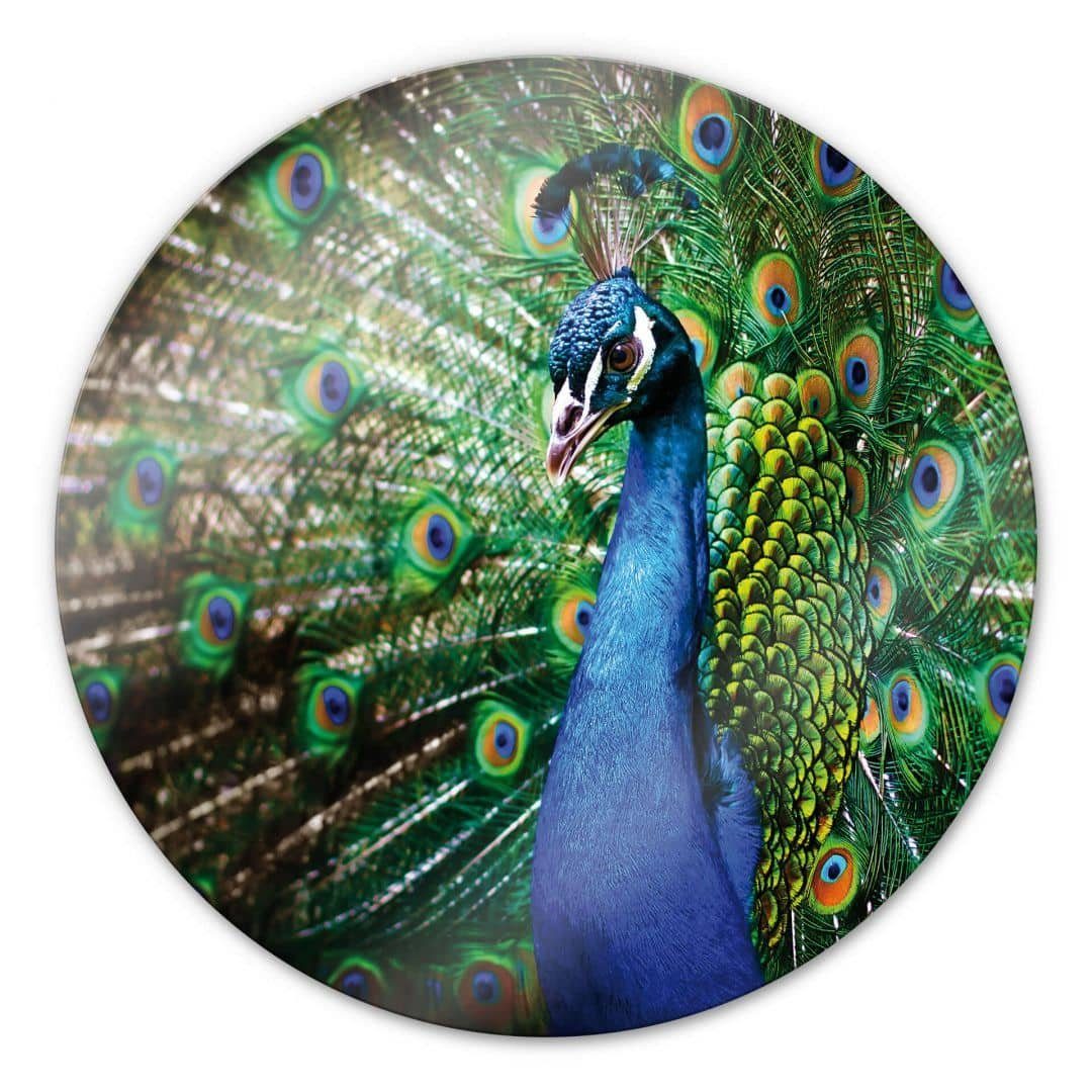 Art Deko K&L Glasbild Poster Wandbild Wall Wandschutz Bilder Vogel Gemälde Rund Pfau Glas Peacock, eleganter