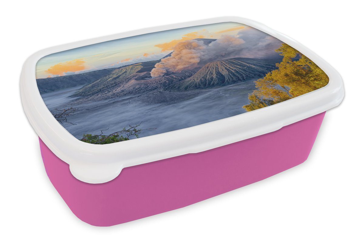 Brotbox Brotdose Erwachsene, Snackbox, Indonesien, Mädchen, Kinder, für Nebel Kunststoff Lunchbox MuchoWow Kunststoff, in rosa (2-tlg),