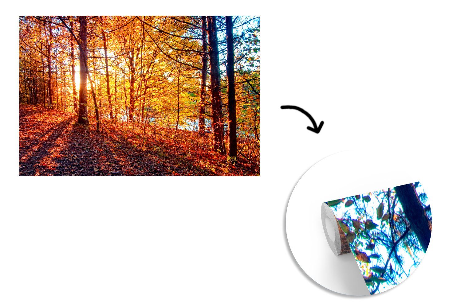 - MuchoWow Fototapete (6 Kinderzimmer, Wohnzimmer, Matt, Wallpaper St), Tapete - Laub, Wald bedruckt, Herbst Schlafzimmer, Vinyl für