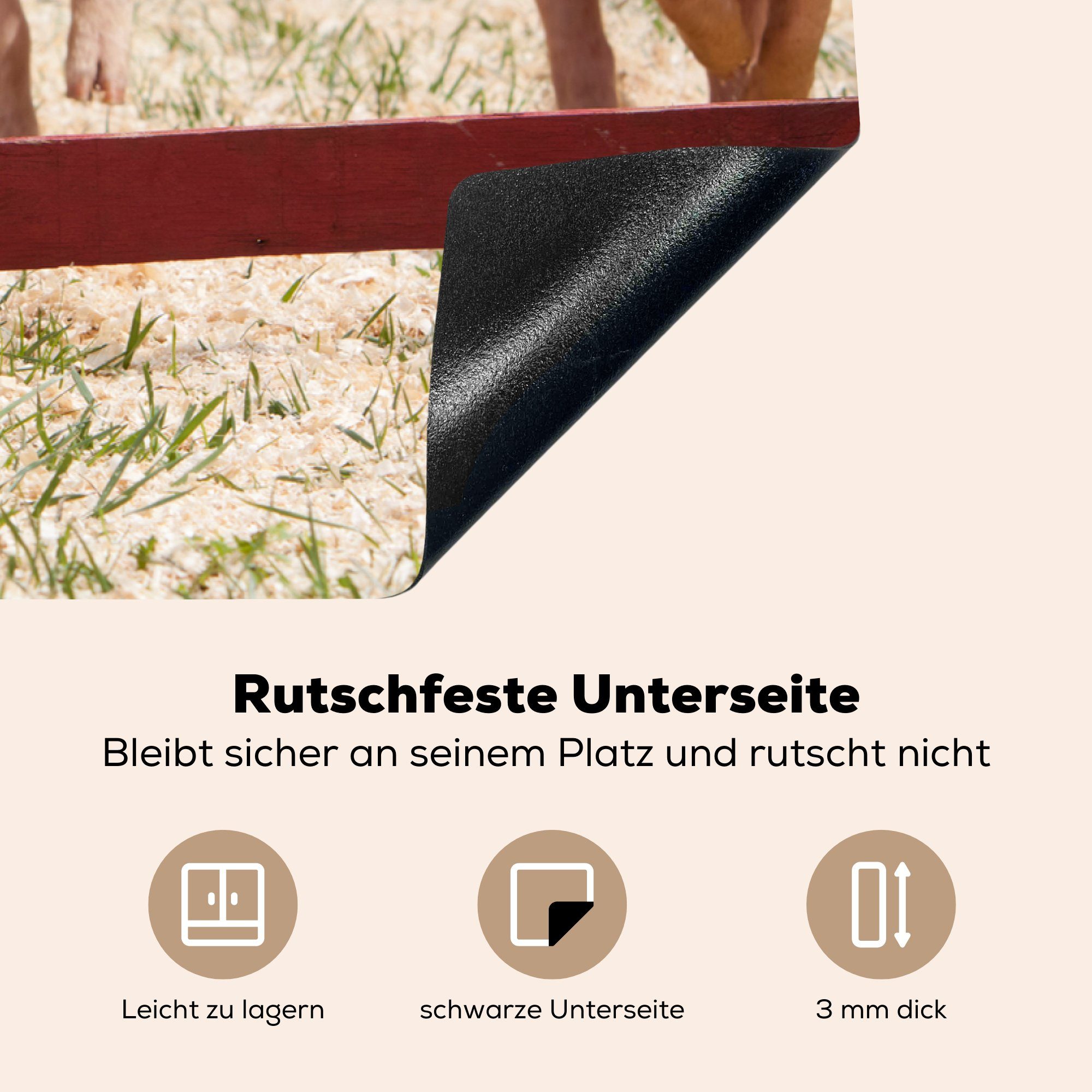 Induktionskochfeld Gras, die Vinyl, tlg), Herdblende-/Abdeckplatte küche, Schutz MuchoWow - (1 Umhang für Ceranfeldabdeckung cm, 81x52 Schwein -