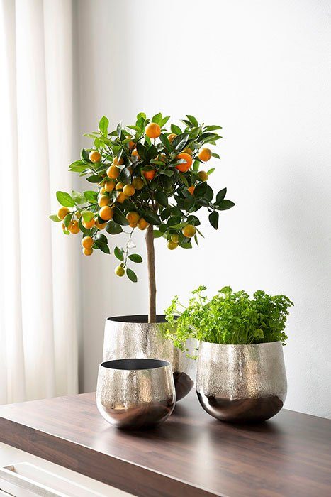 Fink Übertopf »BLUSH, silber« (1 Stück), dekorativer Blumentopf, aus Metall, handgearbeitet, Hammerschlagstruktur, in verschiedenen Größen erhältlich, Wohnzimmer-HomeTrends