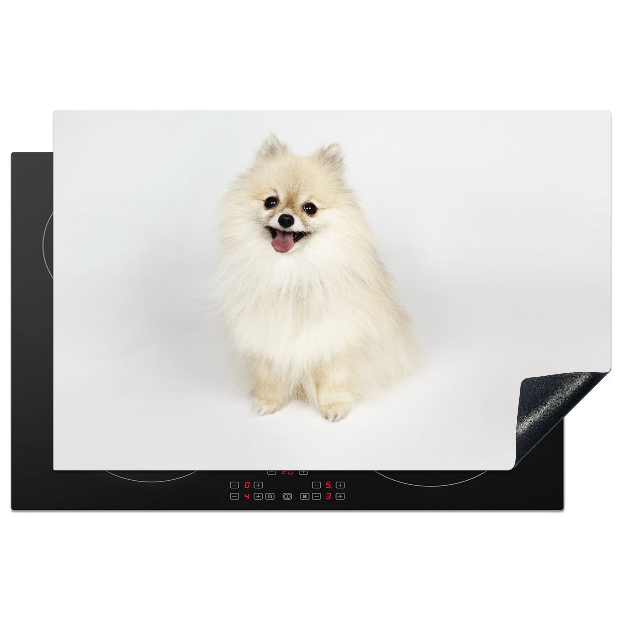 MuchoWow Herdblende-/Abdeckplatte Glücklicher Pomeranian, Vinyl, (1 tlg), 81x52 cm, Induktionskochfeld Schutz für die küche, Ceranfeldabdeckung