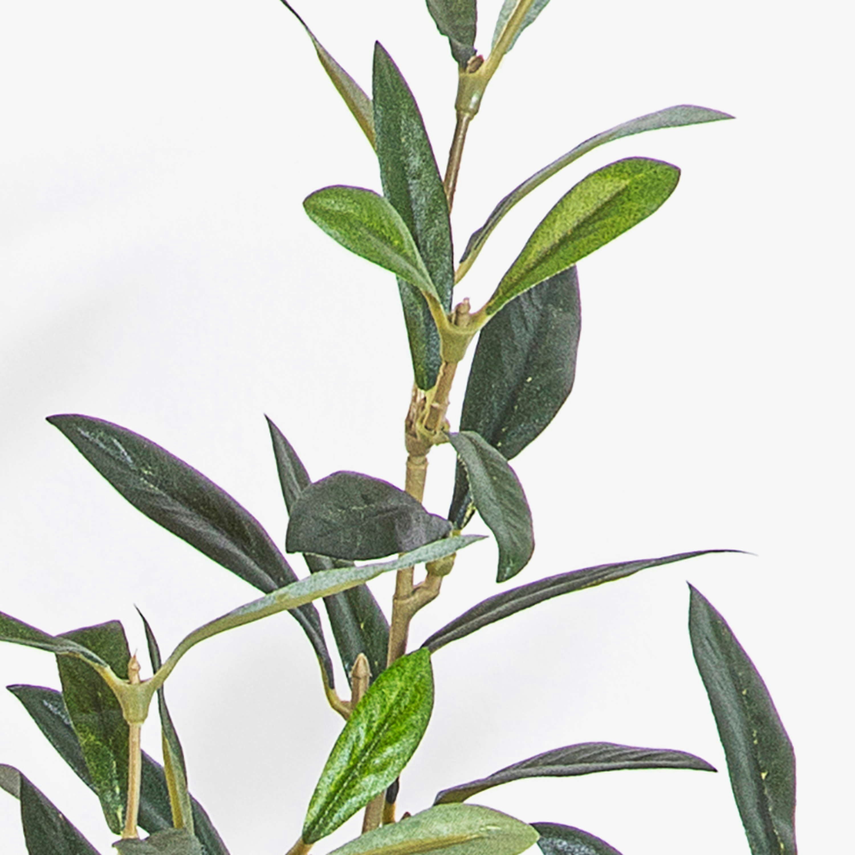 Kunstzweig Deko Zweig Olive LORRIS, grün, 110cm Olivenbaum, artplants, Höhe 110.0 cm