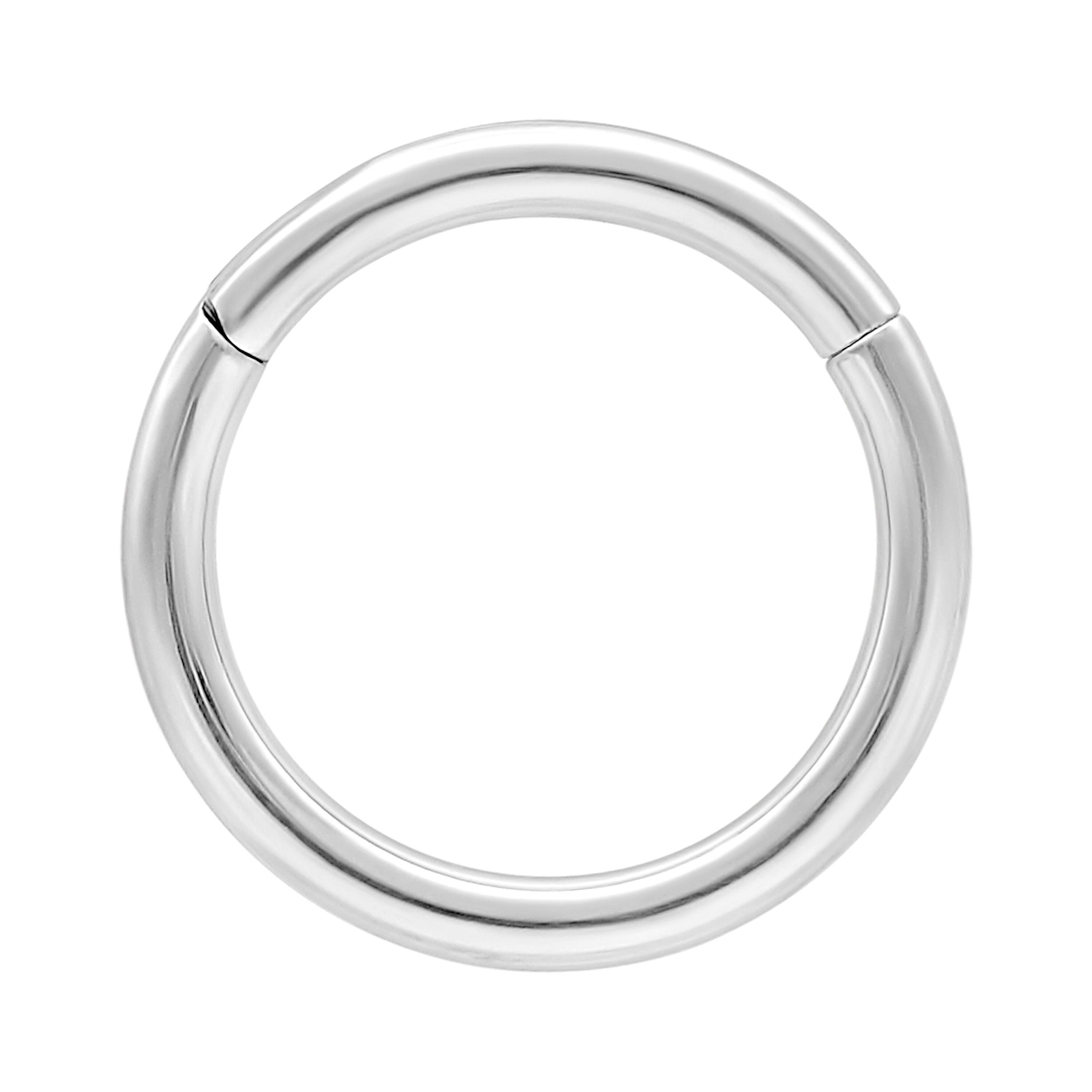 Wildcat Nasenpiercing Hinged Ring für Ohr, Lippe, Nase, Bauchnabel, 1 Stück, Titan Grad 23 - wasserfest, hautverträglich, Weißgold