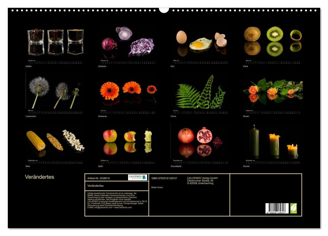 Thumbnail - CALVENDO Wandkalender Verändertes (Wandkalender 2026 DIN A2 quer), CALVENDO Monatskalender