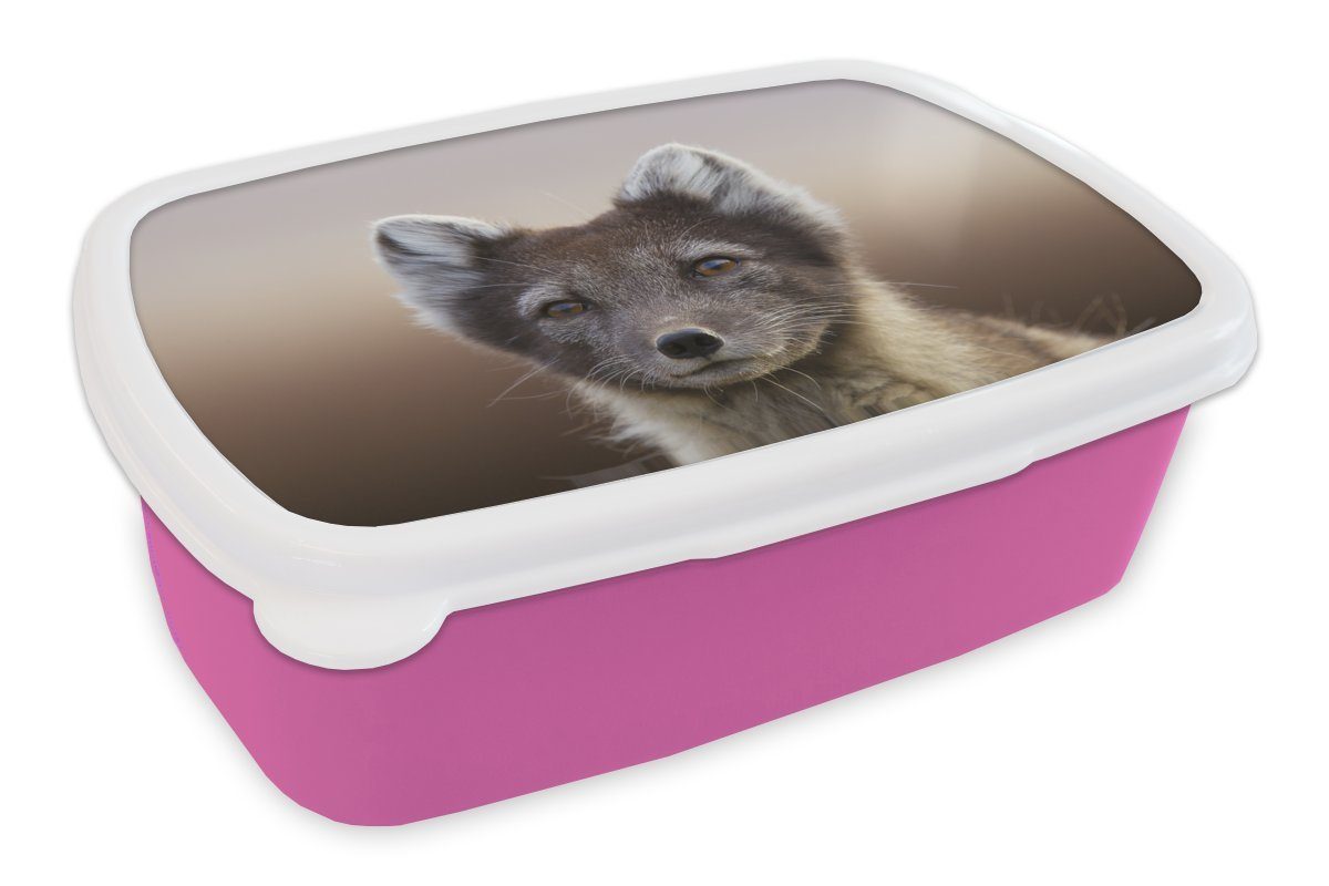 MuchoWow Lunchbox Fuchs - Porträt - Braun, Kunststoff, (2-tlg), Brotbox für Erwachsene, Brotdose Kinder, Snackbox, Mädchen, Kunststoff rosa