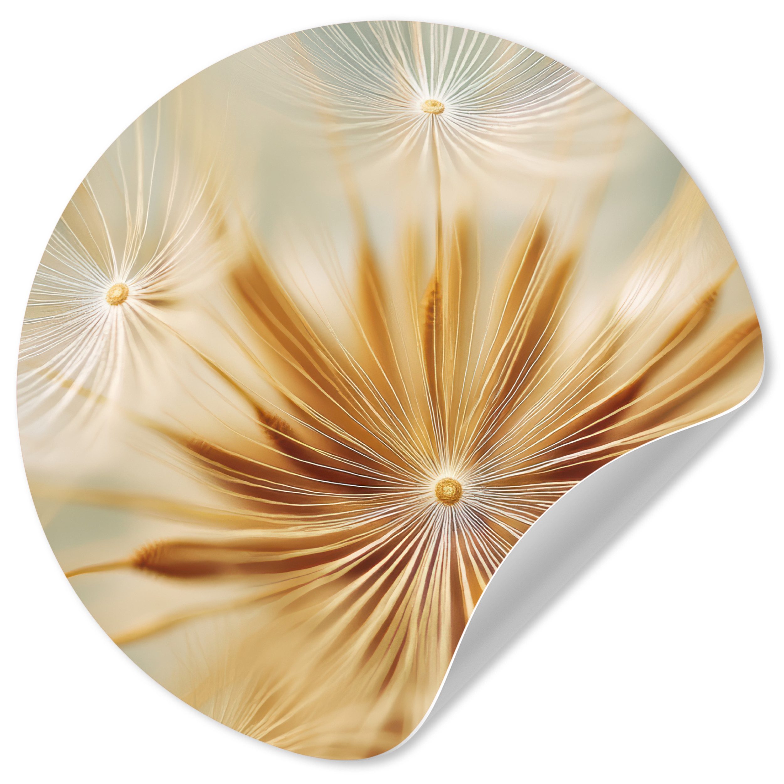 MuchoWow Wandsticker Löwenzahn - Beige - günstig online kaufen