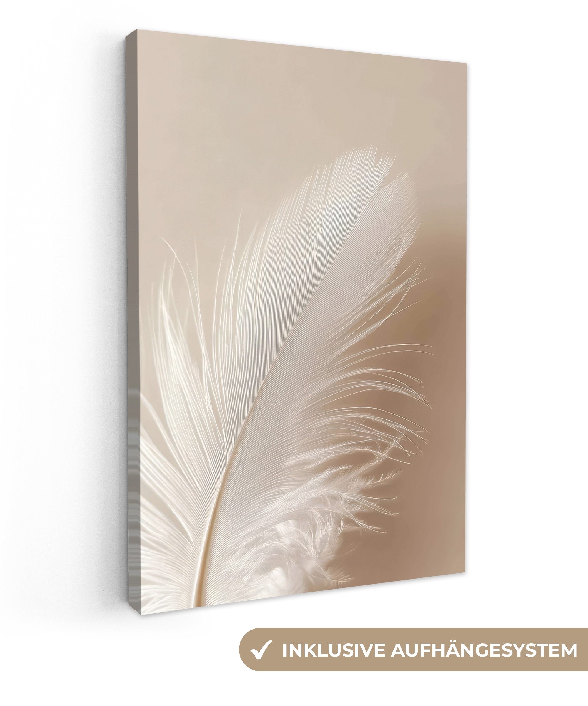 OneMillionCanvasses® Leinwandbild Feder - Minimalistisch - Rosa, Fotodruck günstig online kaufen