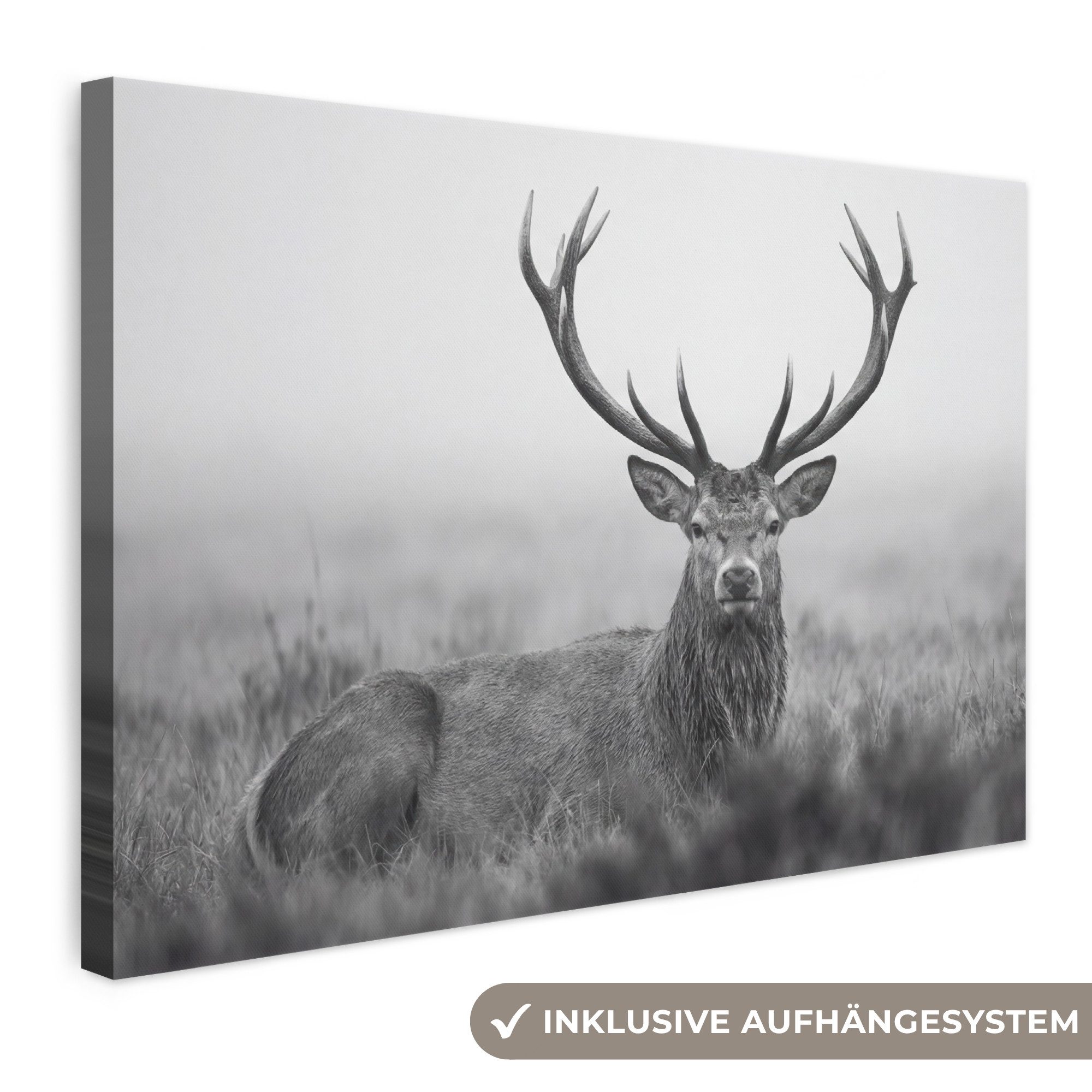 OneMillionCanvasses® Leinwandbild Hirsch - Neblig - Schwarz - Weiß, Fotodruck (1 St), Leinwand Bilder Klein, Wand Dekoration Aesthetic 30x20 cm