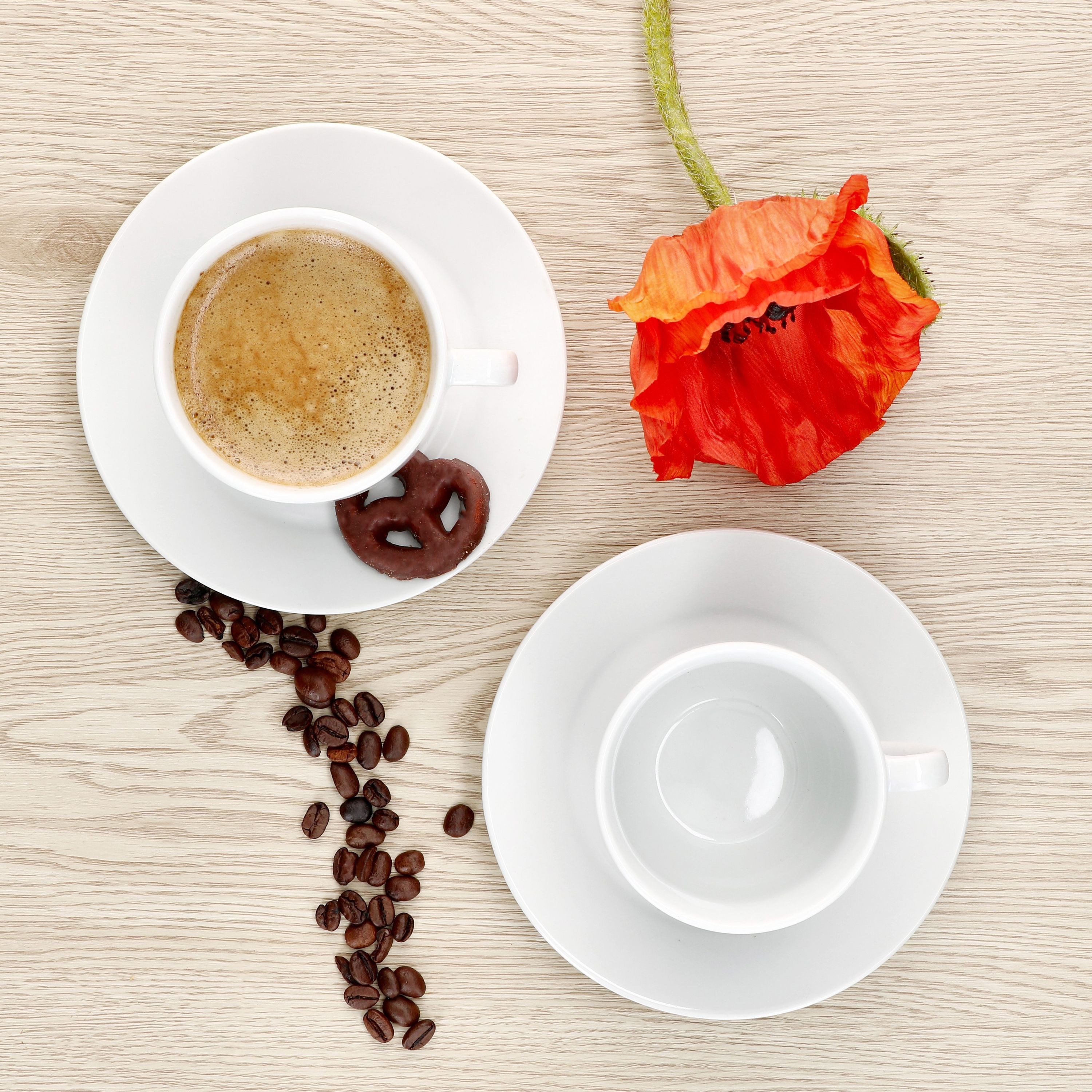 MamboCat Tasse 6er Set Tommy Kaffeetassen mit Untertassen für 6 Personen, Porzellan – Bild 5 von 5
