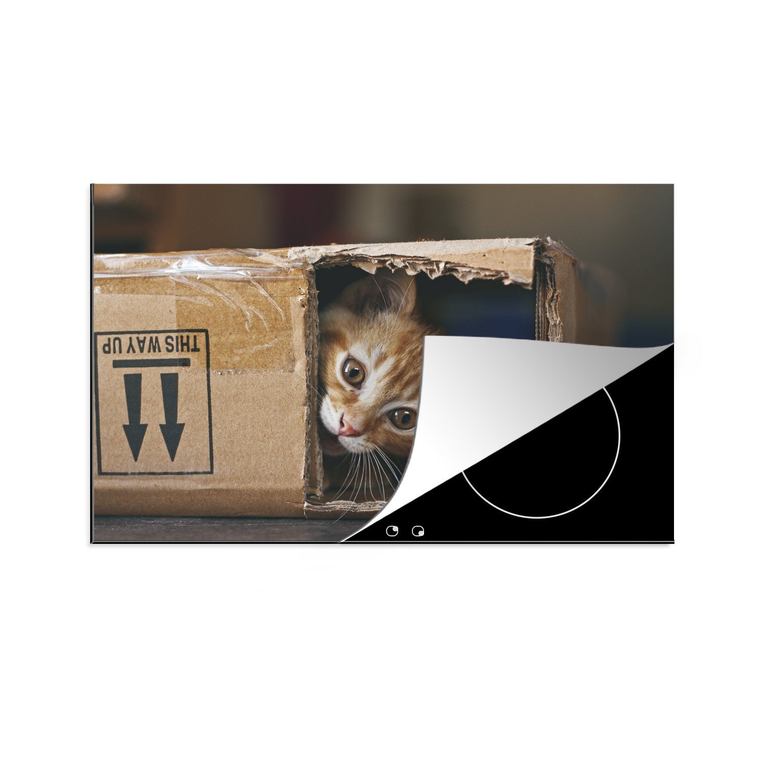 Die Schutz Herdblende-/Abdeckplatte Katze Ceranfeldabdeckung sich MuchoWow (1 für die versteckt 81x52 Vinyl, Induktionskochfeld gerne., küche, tlg), cm,