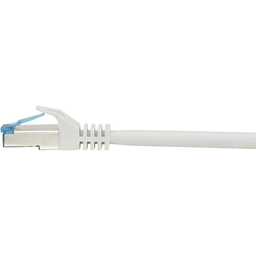 Renkforce CAT6A S/FTP Netzwerkkabel 0.25 LAN-Kabel m