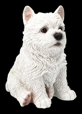 Figuren Shop GmbH Tierfigur West Highland Terrier Figur - Westie Welpe - Tierdeko Dekofigur Hund