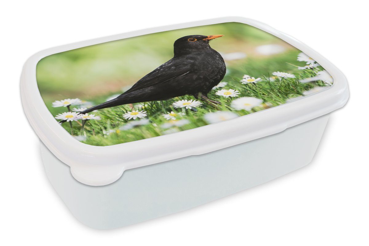 MuchoWow Lunchbox Vogel - Amsel - Blumen, Kunststoff, (2-tlg), Brotbox für Kinder und Erwachsene, Brotdose, für Jungs und Mädchen weiß