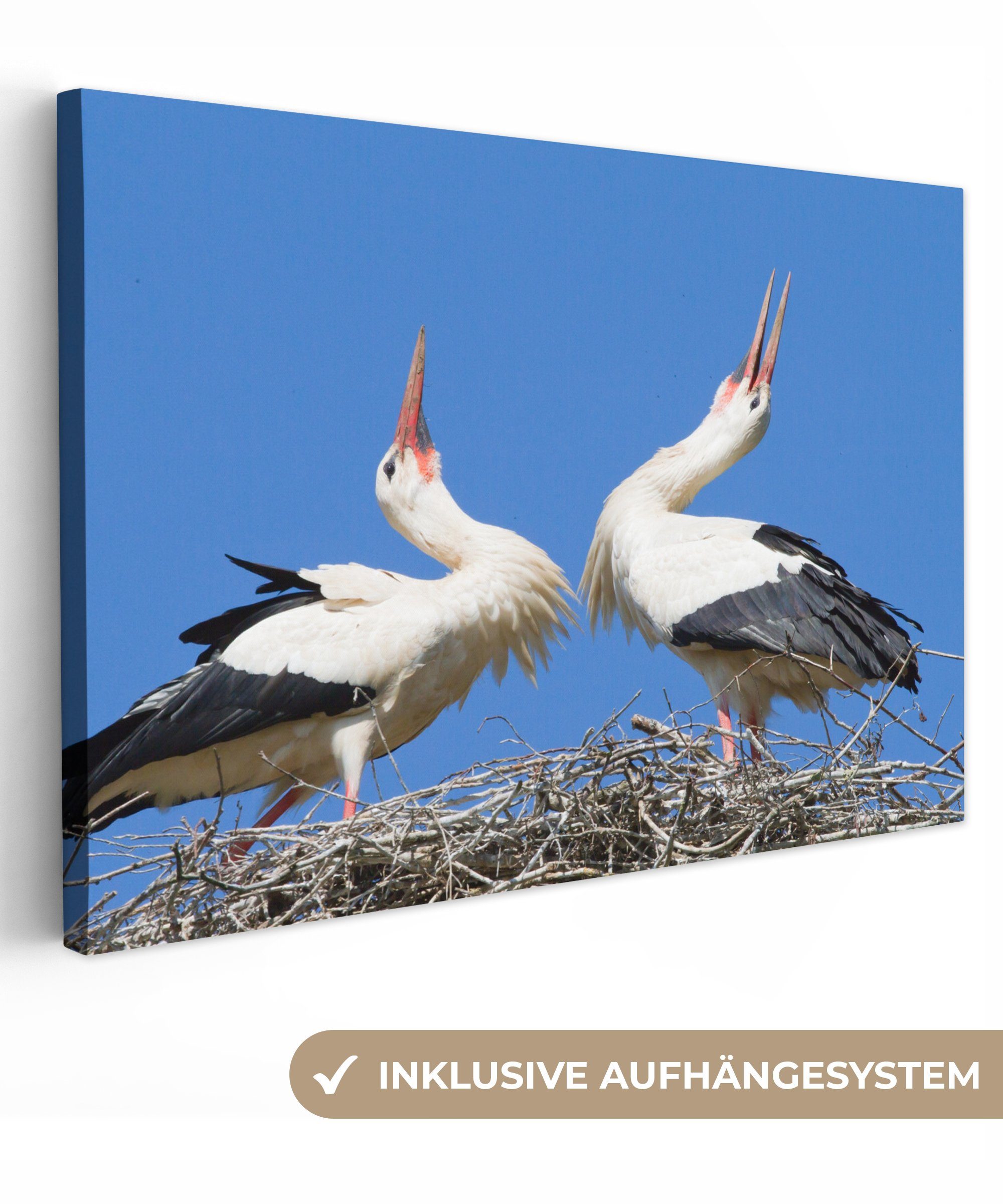 OneMillionCanvasses® Leinwandbild Atemberaubendes Bild von zwei Störchen in ihrem Nest, (1 St), Wandbild Leinwandbilder, Aufhängefertig, Wanddeko, 30x20 cm | Leinwandbilder