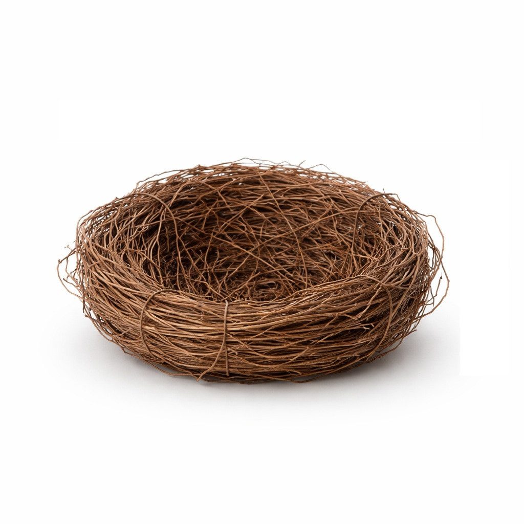 NaDeco Bastelnaturmaterial Mühlenbeckia-Nest Ø 8cm Osternest-Nest