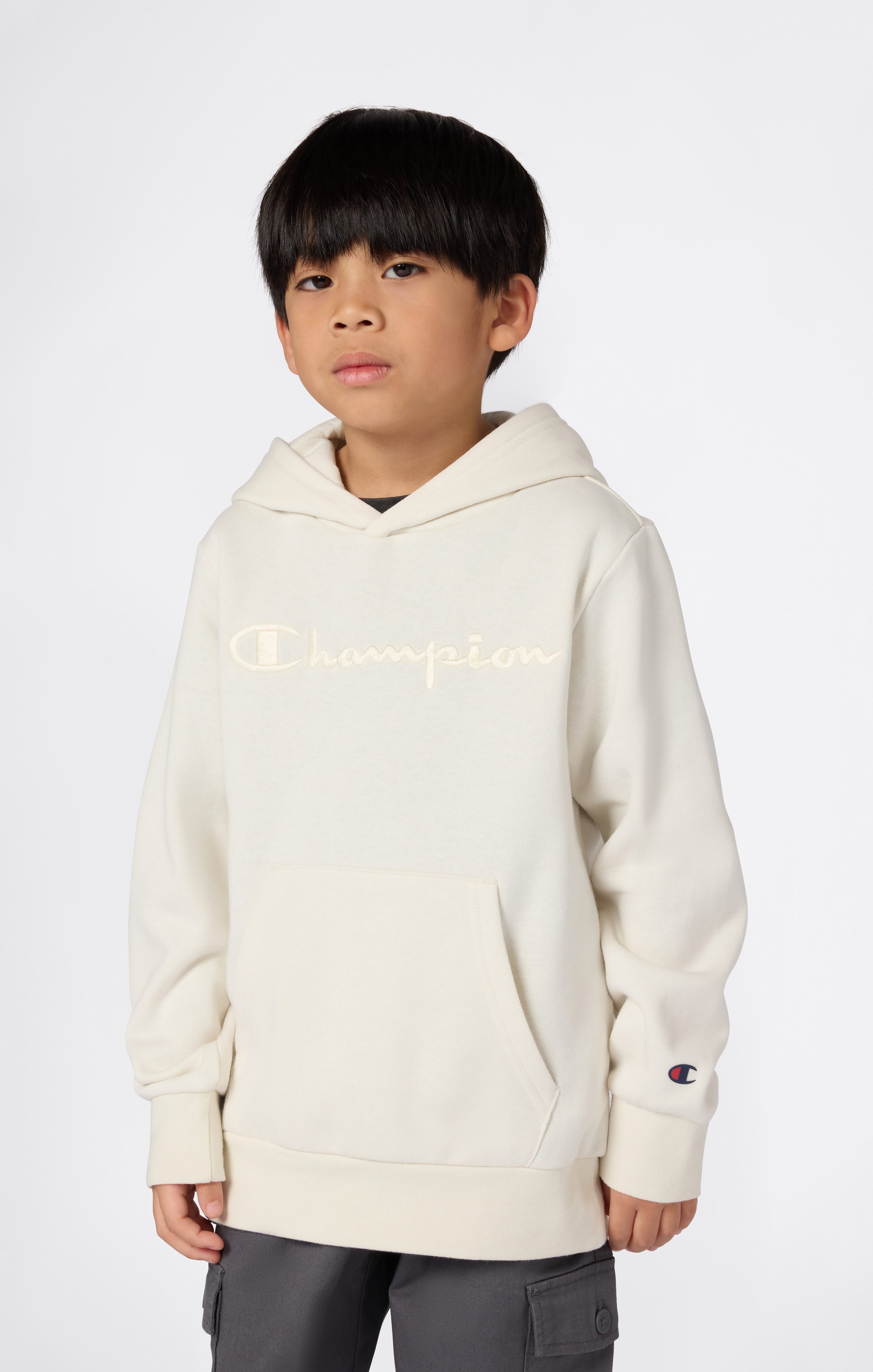 Champion Kapuzensweatshirt ICONS TONAL Hoodie Large Logo (1-tlg)