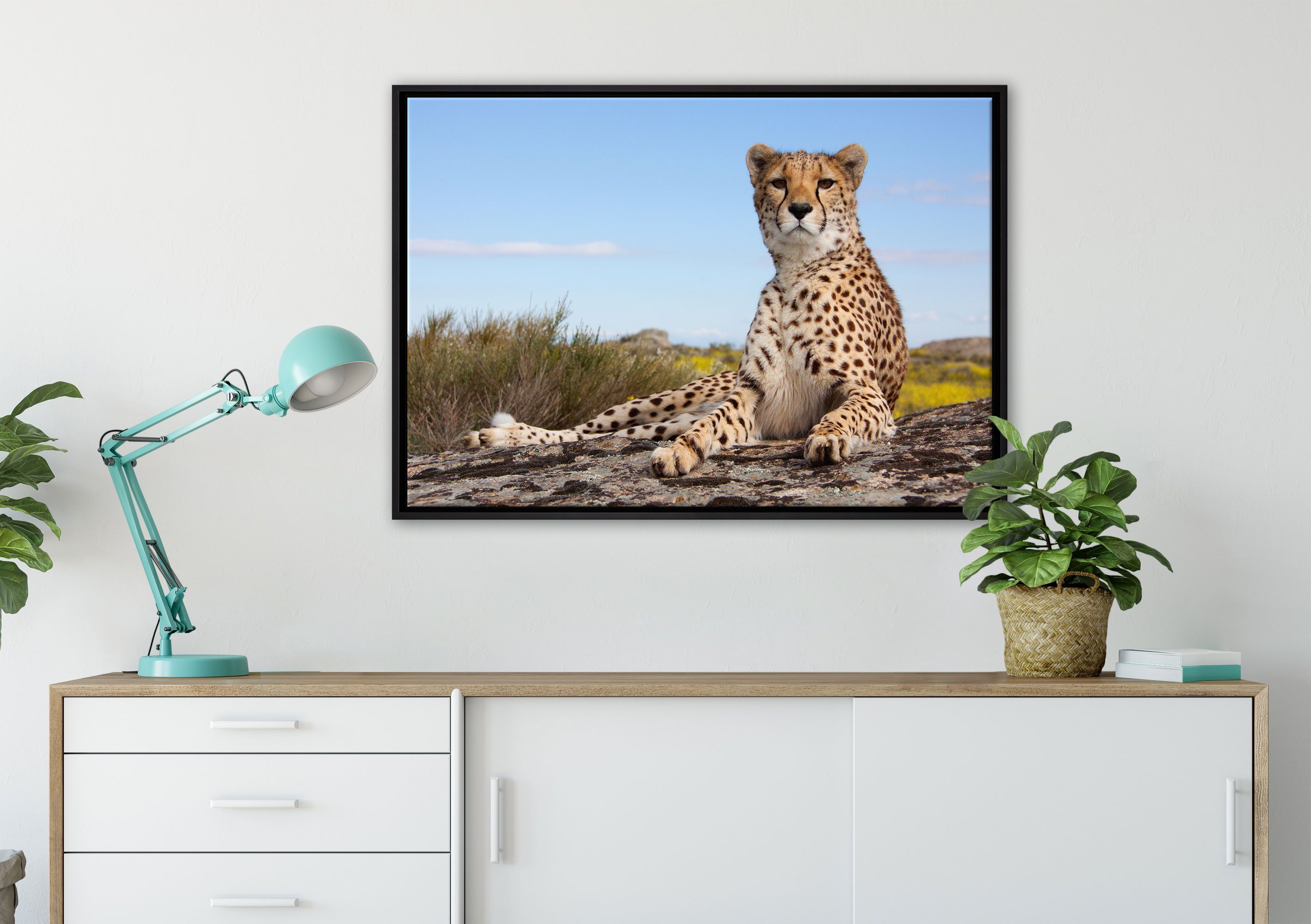 Leinwandbild Gepard bespannt, Pixxprint fertig Leinwandbild gefasst, Wanddekoration in in Savanne, (1 St), einem Schattenfugen-Bilderrahmen Zackenaufhänger inkl.