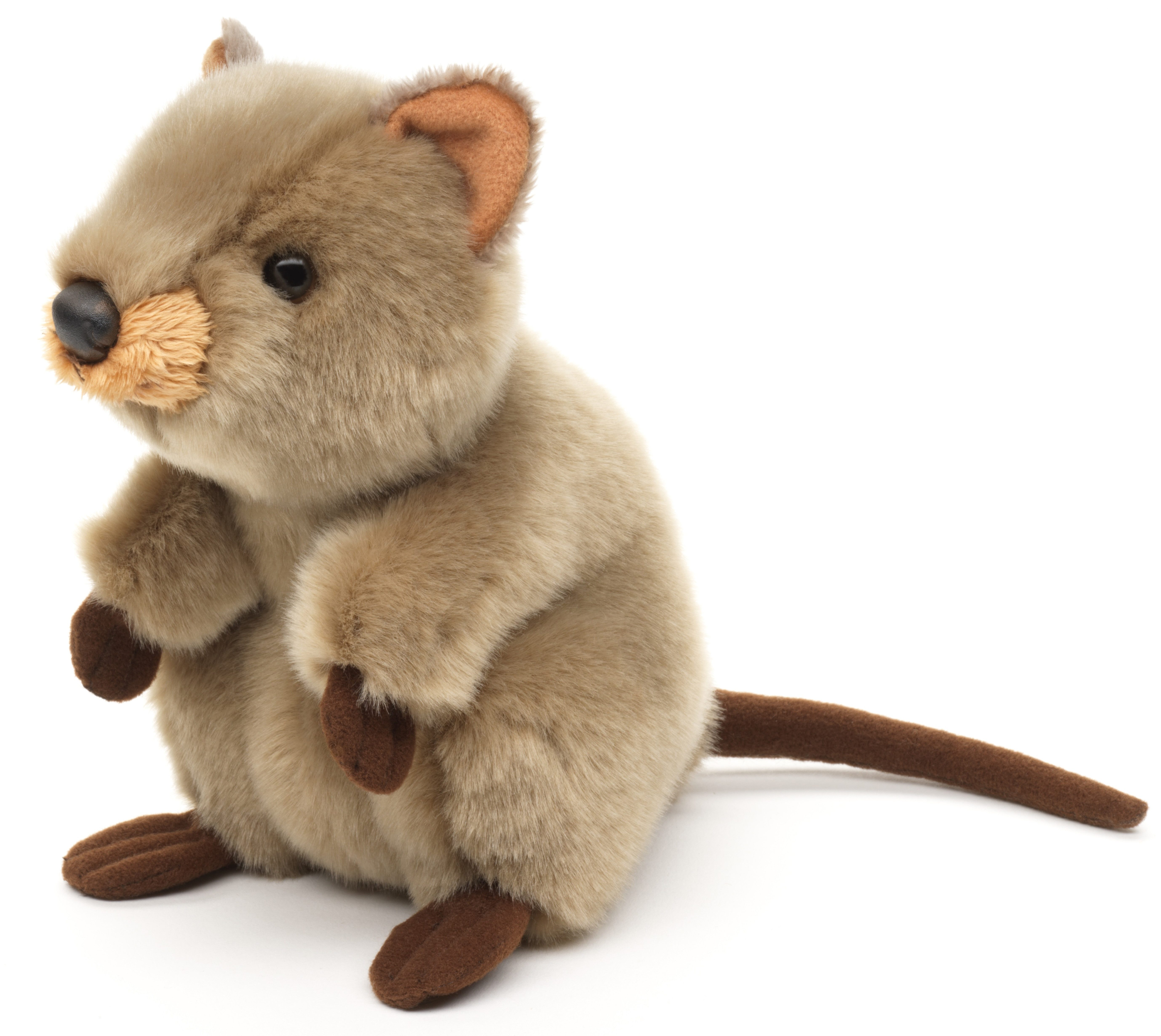 Uni-Toys Kuscheltier Quokka - 20 cm (Länge) - Plüsch-Känguru - Plüschtier, zu 100 % recyceltes Füllmaterial