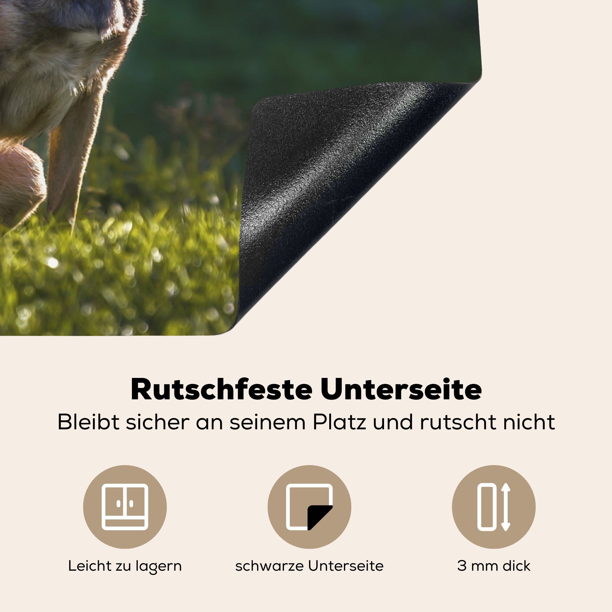 Herdblende-/Abdeckplatte (1 für tlg), Schutz die Vinyl, seine Ein Wiese, Induktionskochfeld küche, wacht cm, MuchoWow Malinois-Schäferhund 81x52 Ceranfeldabdeckung über