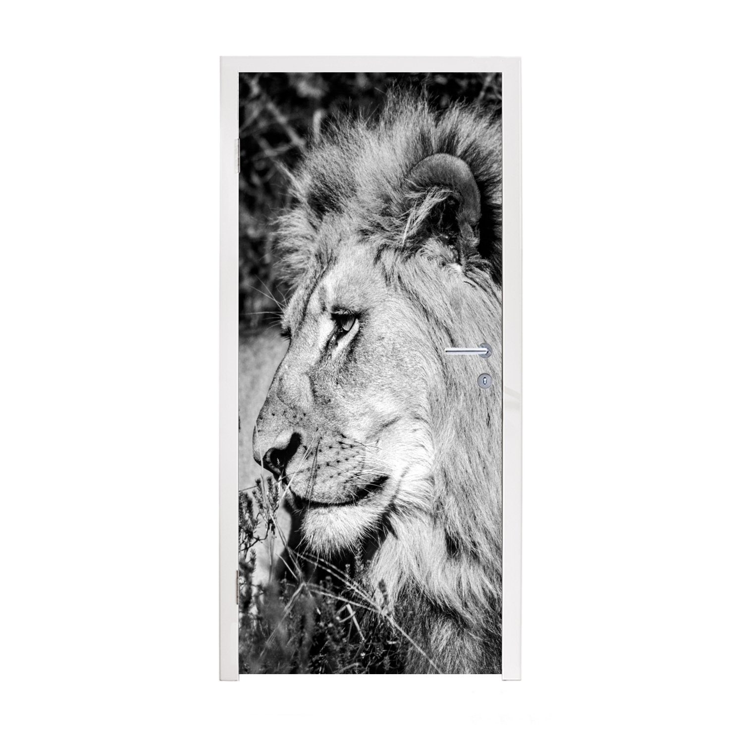 MuchoWow Türtapete Löwe - Tiere - Wild, Matt, bedruckt, (1 St), Fototapete für Tür, Türaufkleber, 75x205 cm