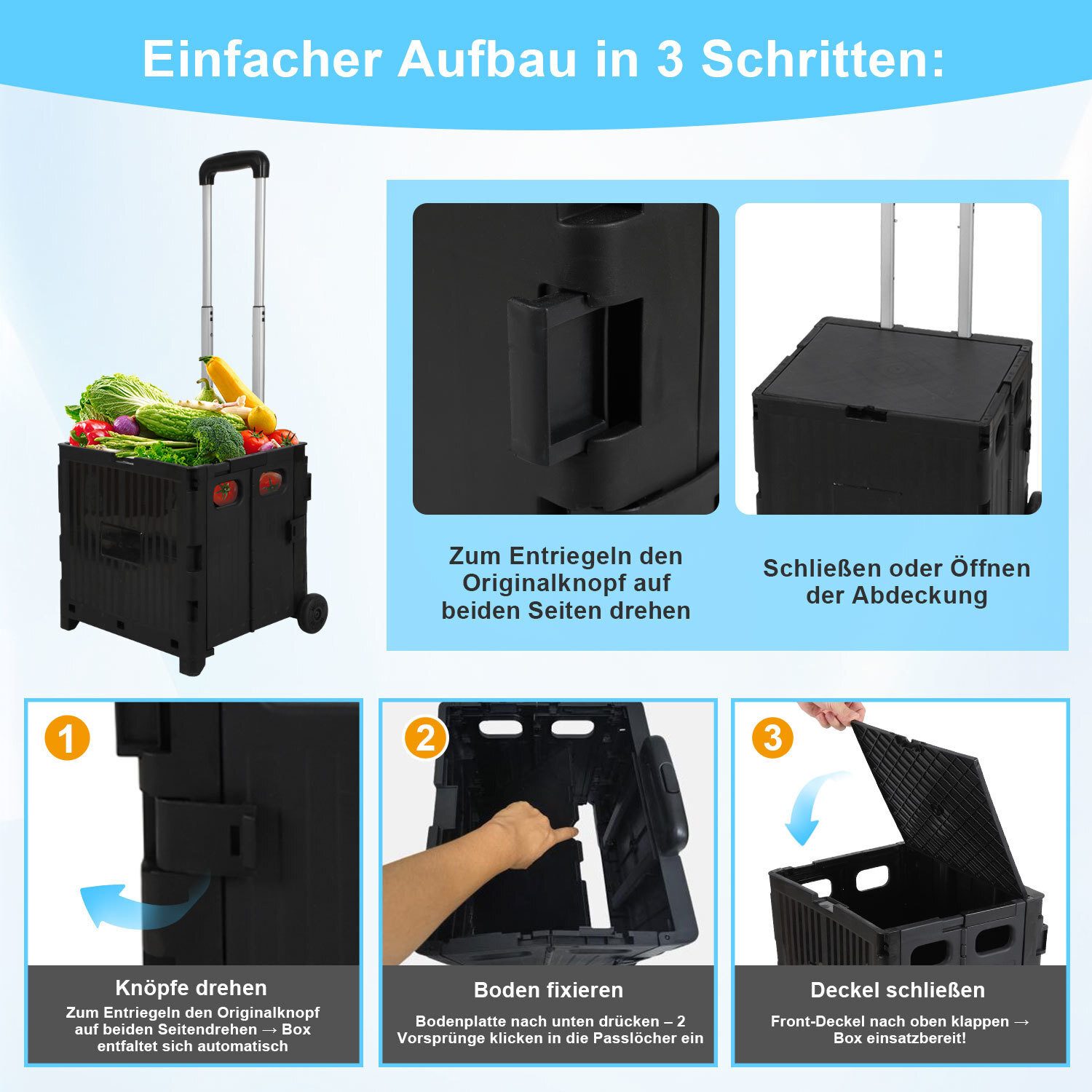 Clanmacy Einkaufstrolley Einkaufstrolley Faltbarer 2 Rädern Transportwagen mit Deckel Schwarz, 45 l