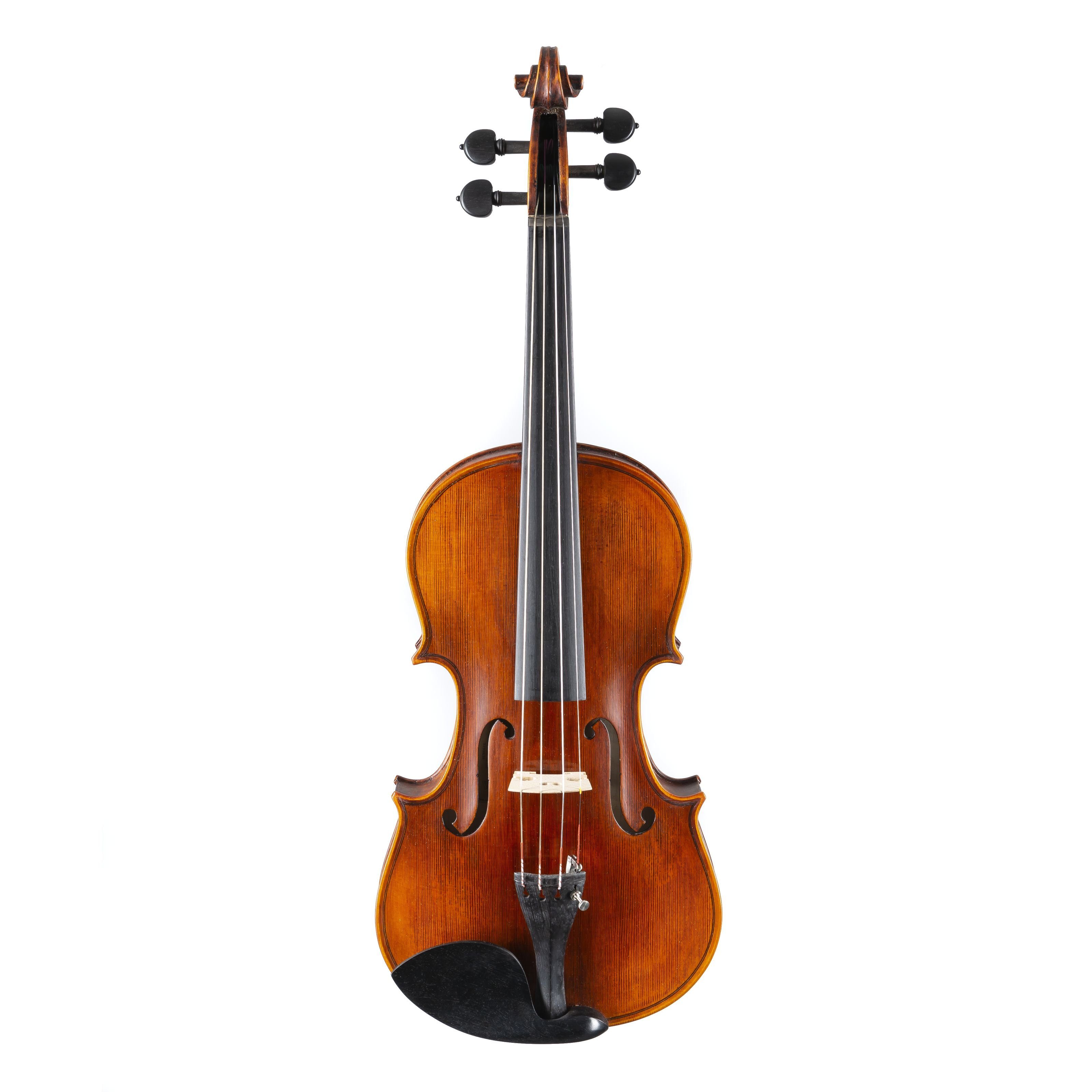 Violine