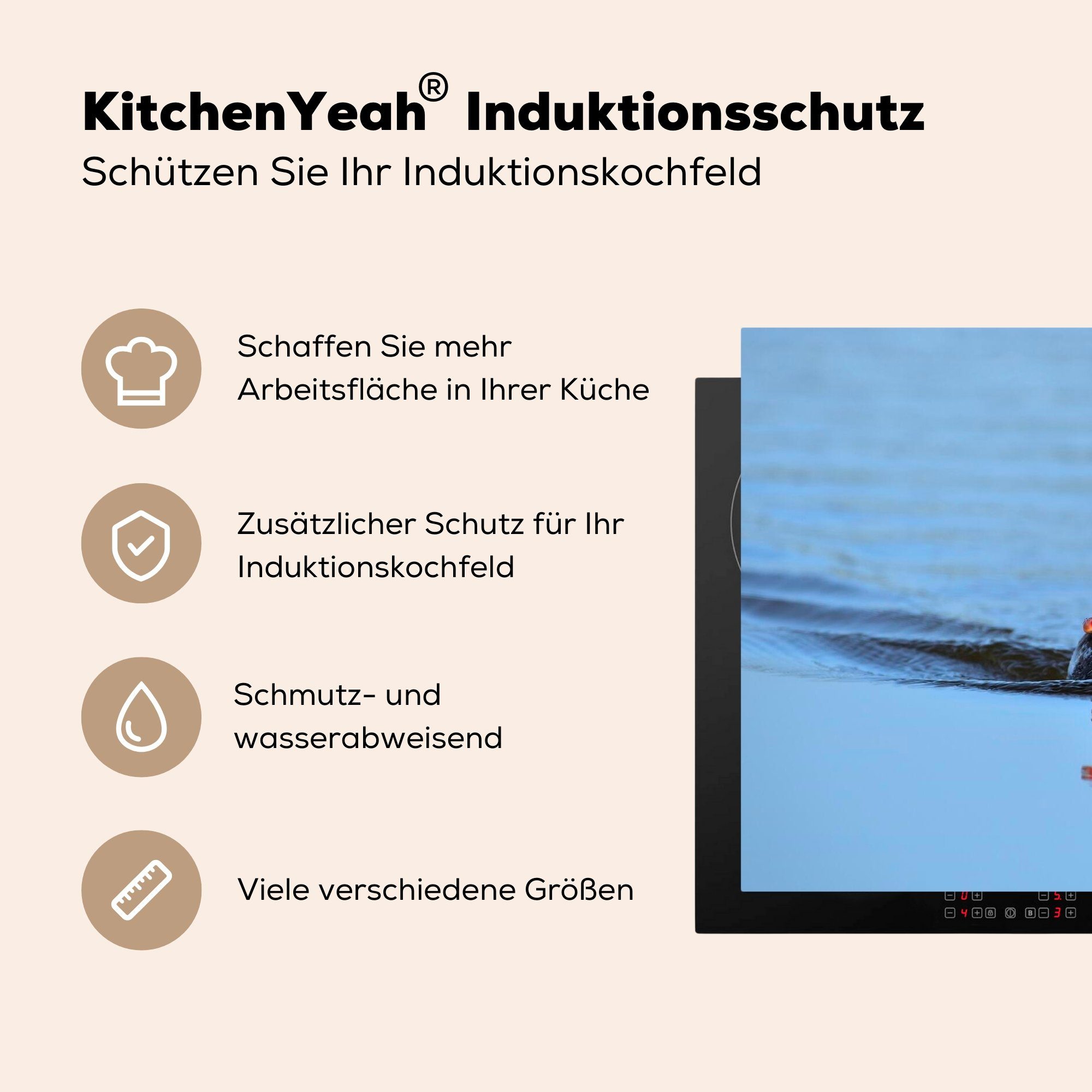 küche, die Vinyl, Induktionskochfeld tlg), - Schutz Ceranfeldabdeckung Kronen 81x52 (1 Herdblende-/Abdeckplatte See MuchoWow Ente, für cm,