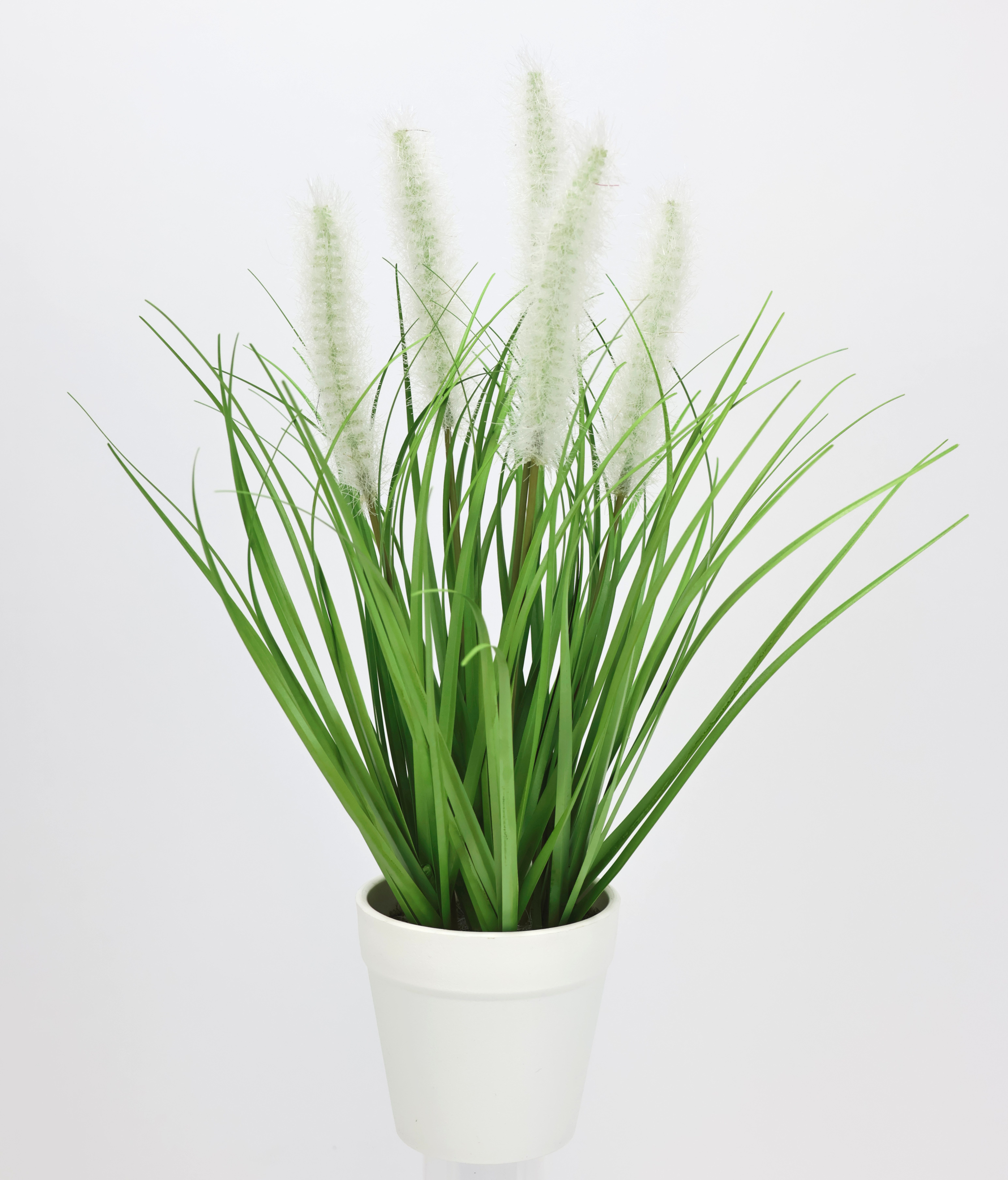 Kunstpflanze Fuchsschwanzgras im Topf, I.GE.A., Höhe 35 cm