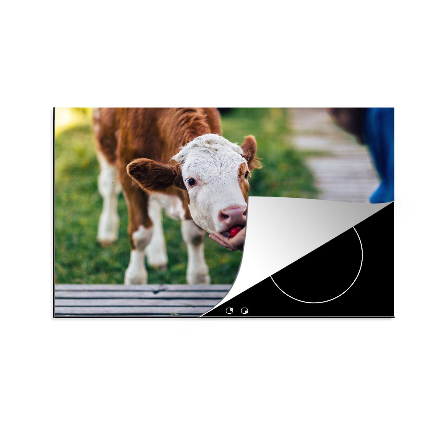 MuchoWow Herdblende-/Abdeckplatte Kalb aus der Hand fressen, Vinyl, (1 tlg), 81x52 cm, Induktionskochfeld Schutz für die küche, Ceranfeldabdeckung