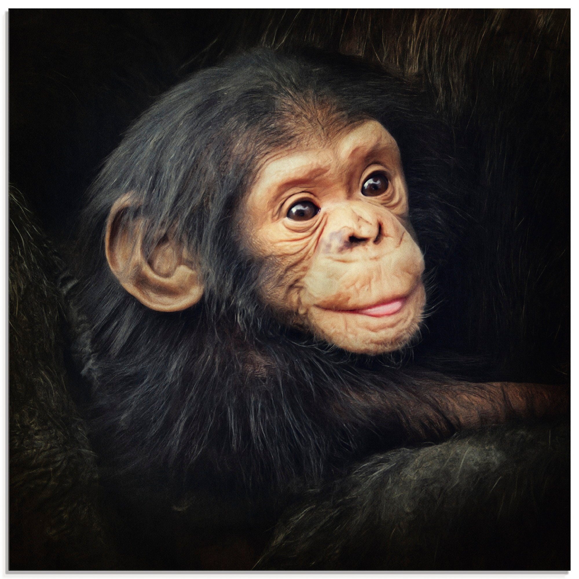 Artland Glasbild Kleiner Schimpanse, Wildtiere verschiedenen Größen (1 St), in