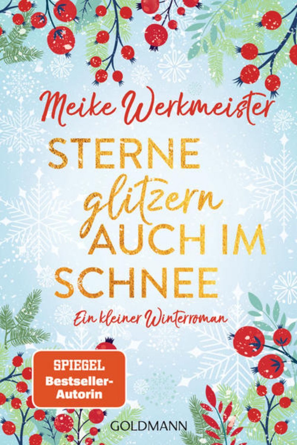 Sterne glitzern auch im Schnee / Meike Werkmeister