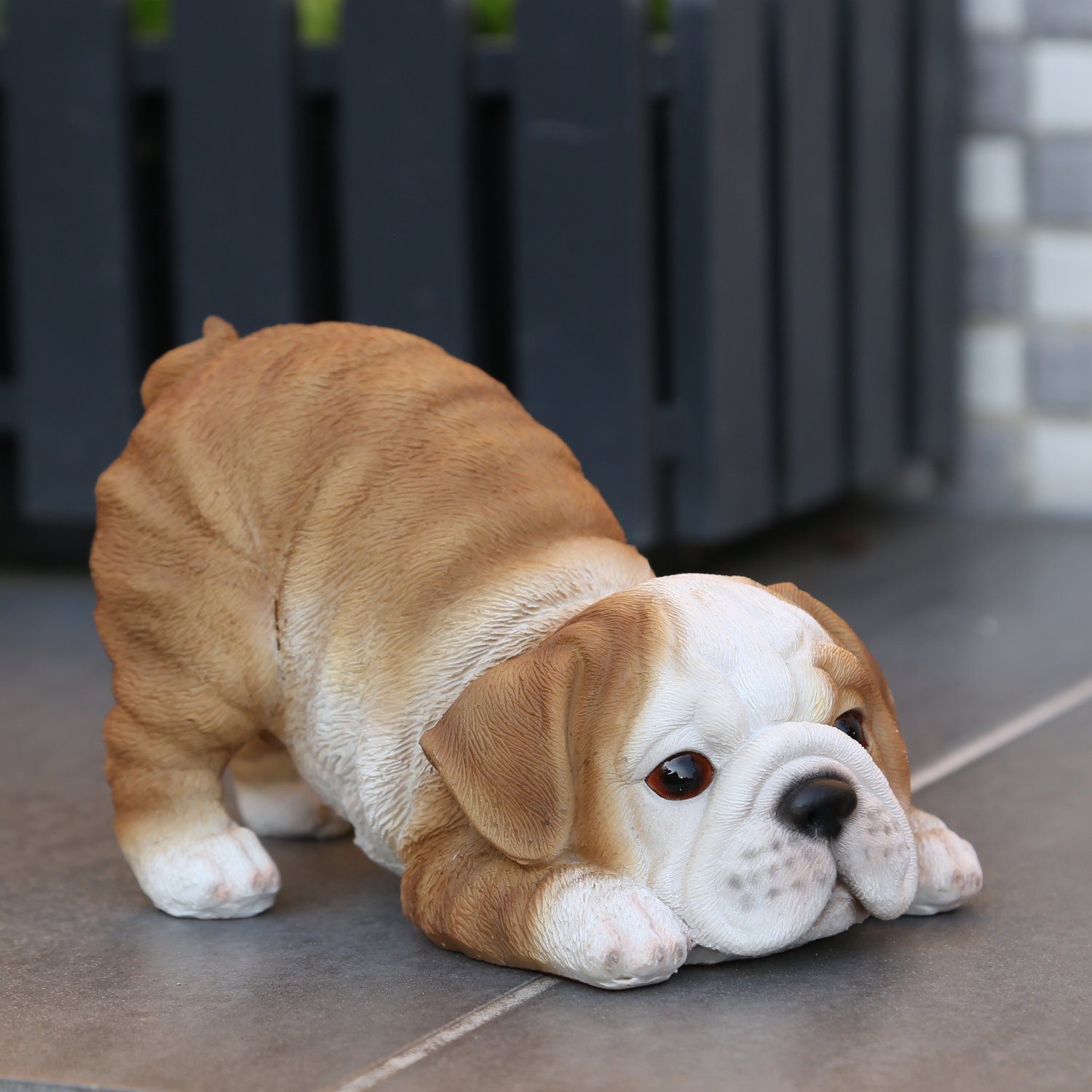 Deko Hund Figur Kopf französische Bulldogge günstig kaufen