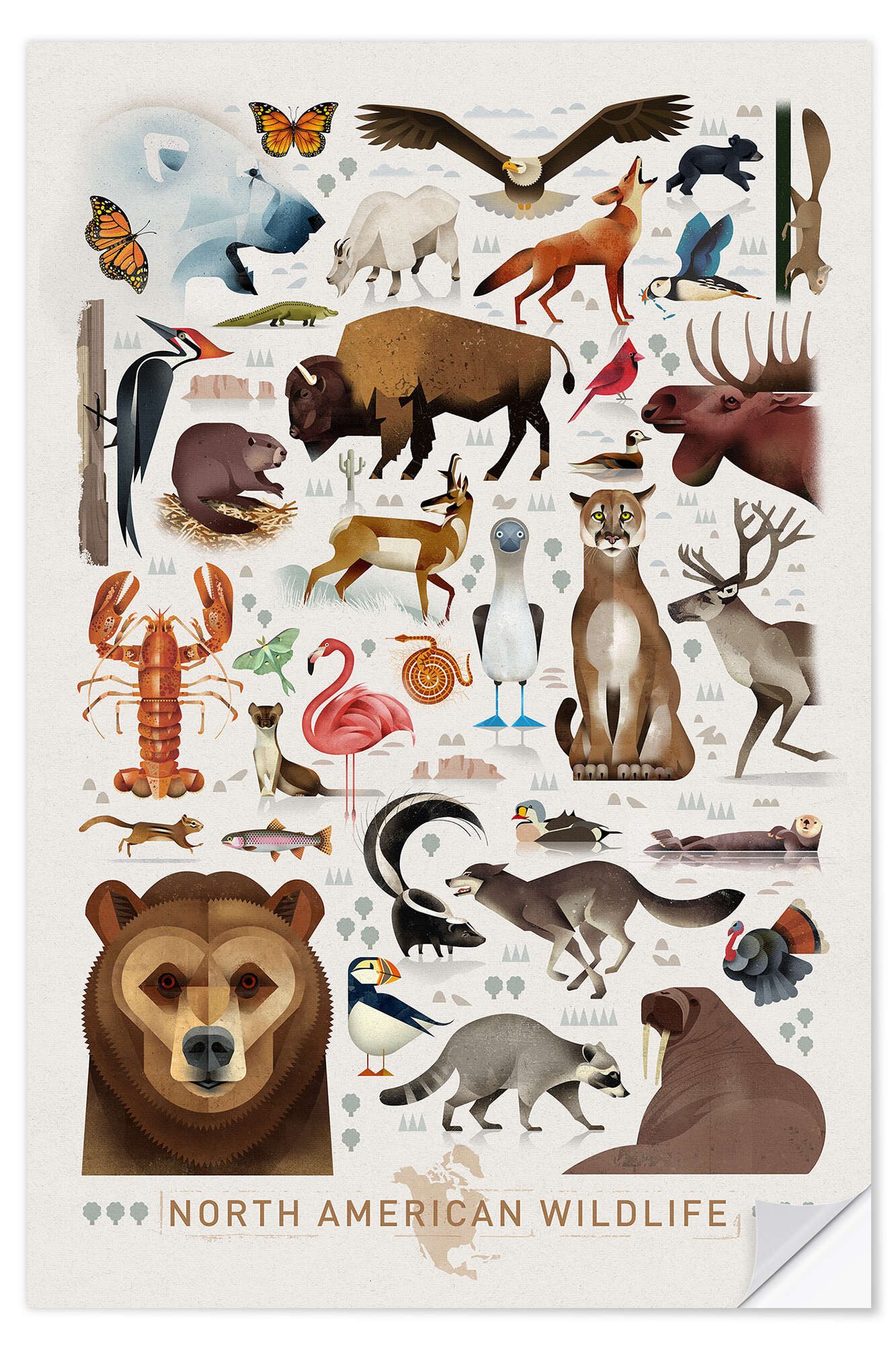 Wandbild Nordamerikanische Tierwelt