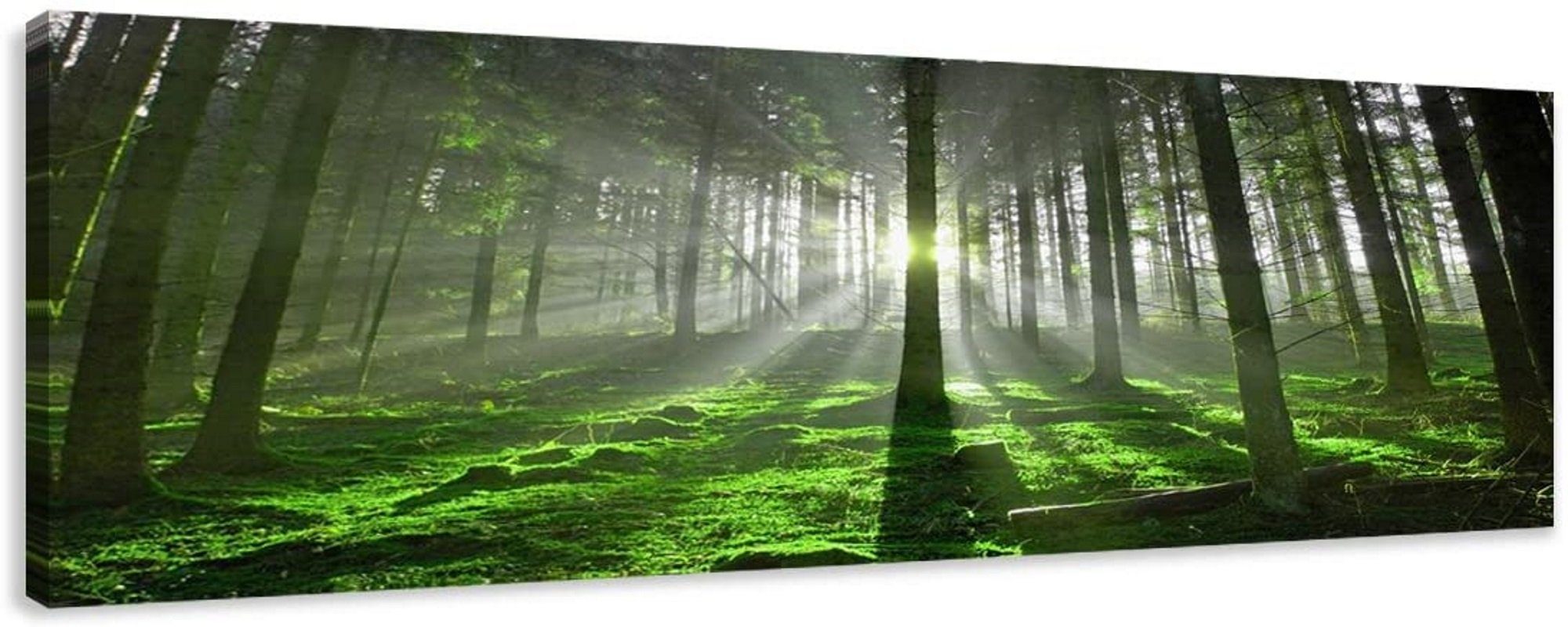 Visario Leinwandbild 1-teiliges Bild auf Leinwand günstig online kaufen