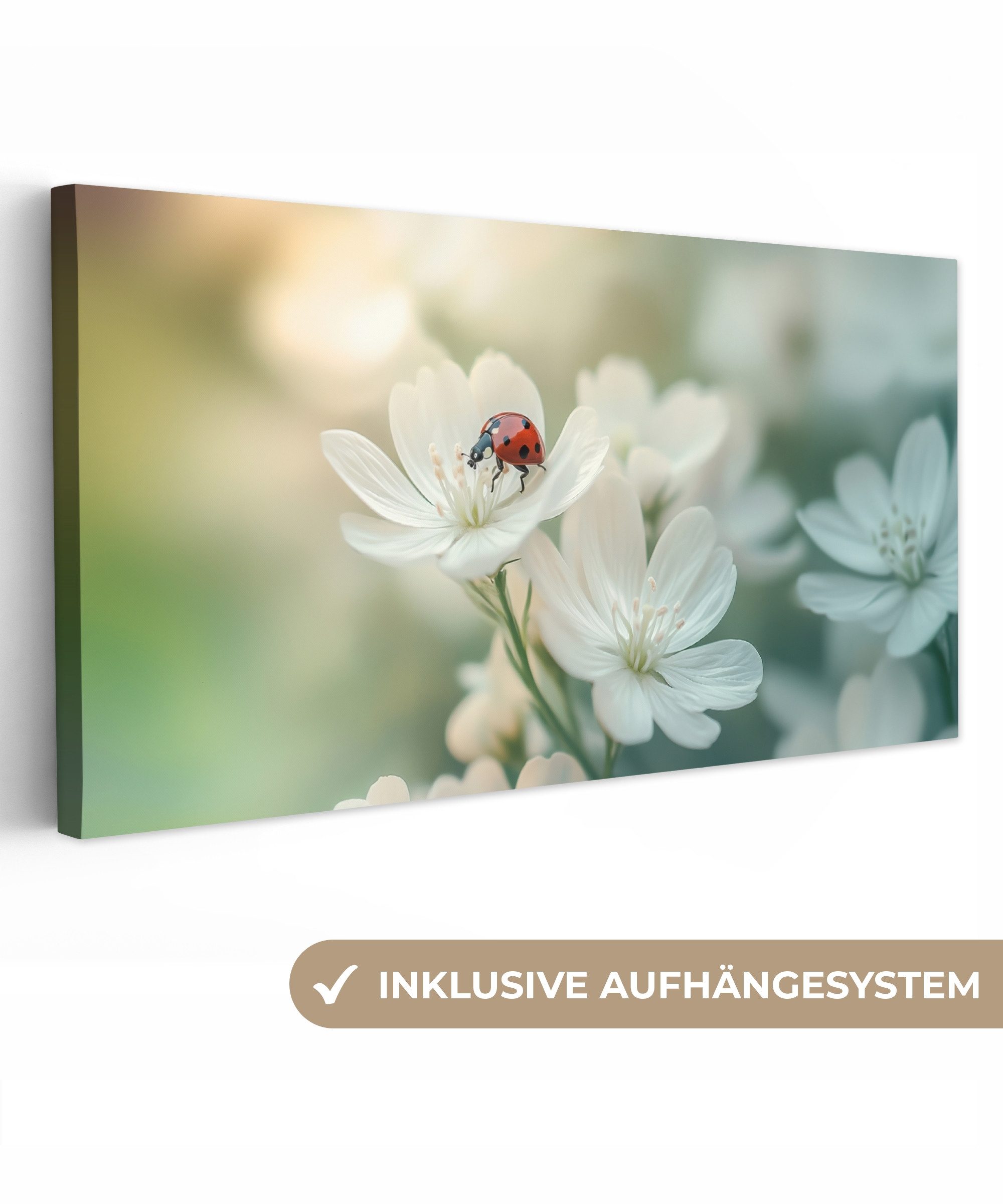 OneMillionCanvasses® Leinwandbild Panorama Marienkäfer - Blumen günstig online kaufen