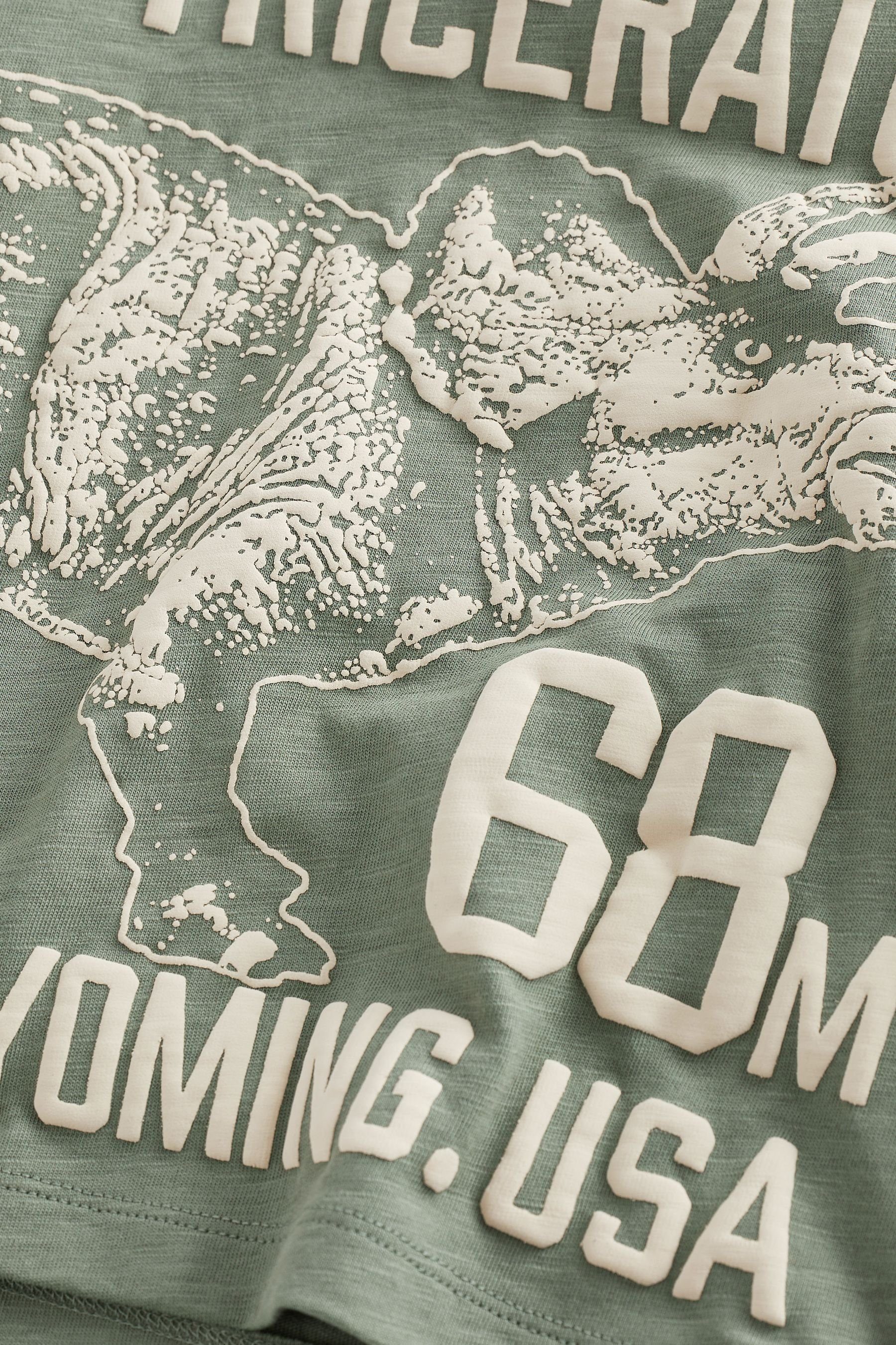 Langärmeliges Next Langarmshirt Green T-Shirt Motiv Triceratops (1-tlg) mit