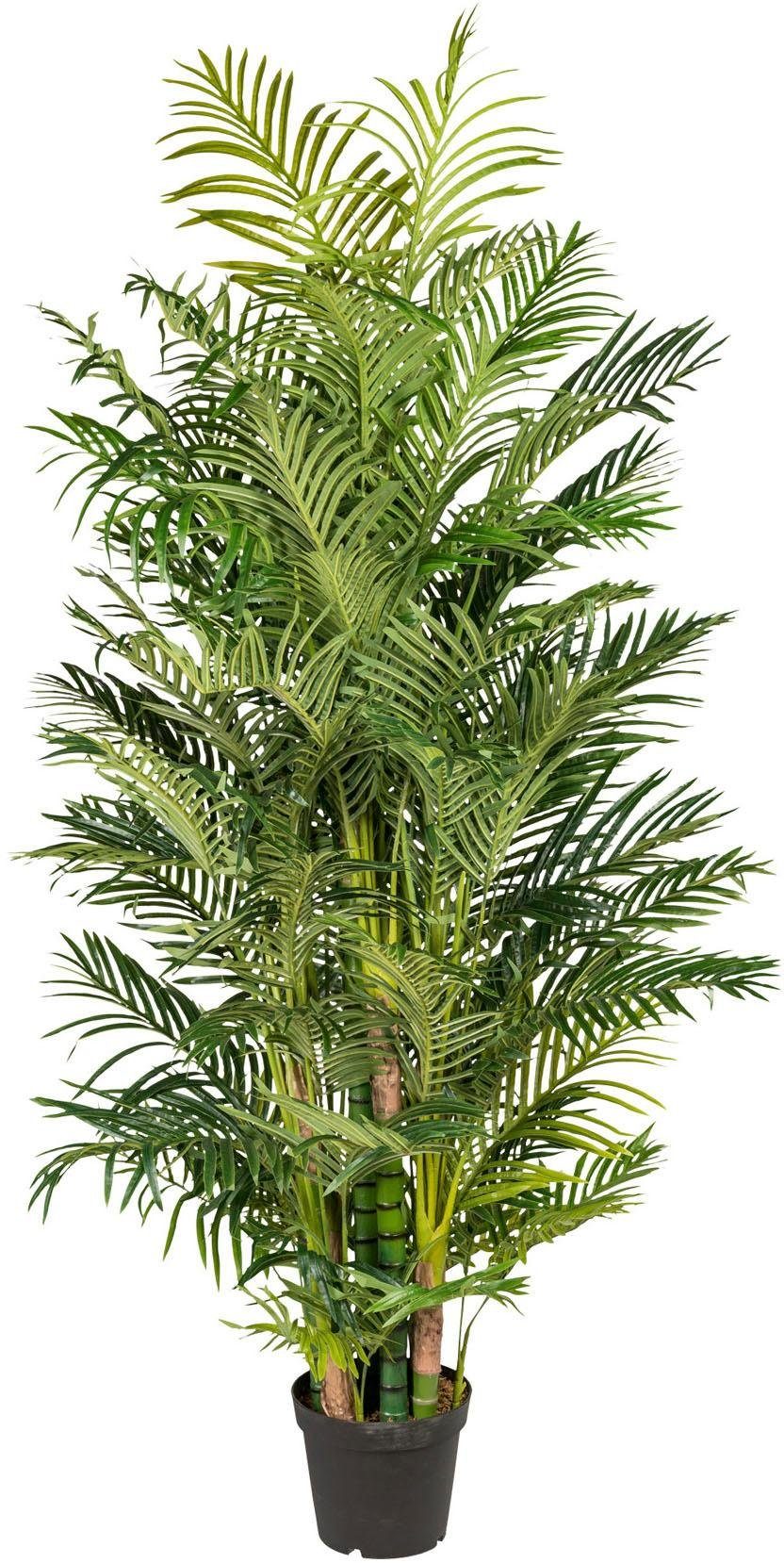 Kunstpalme Arecapalme Palme, Creativ green, Höhe 220 cm