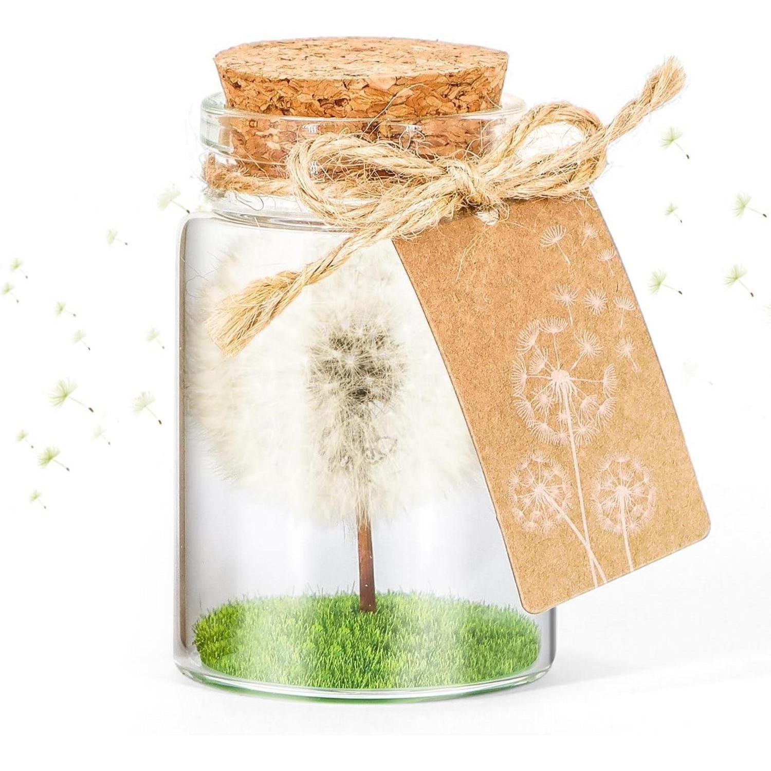 Trockenblume Echte Pusteblume im Glas Geschenkbox handgefertigt Geburtstag Hochzeit, LuxusKollektion