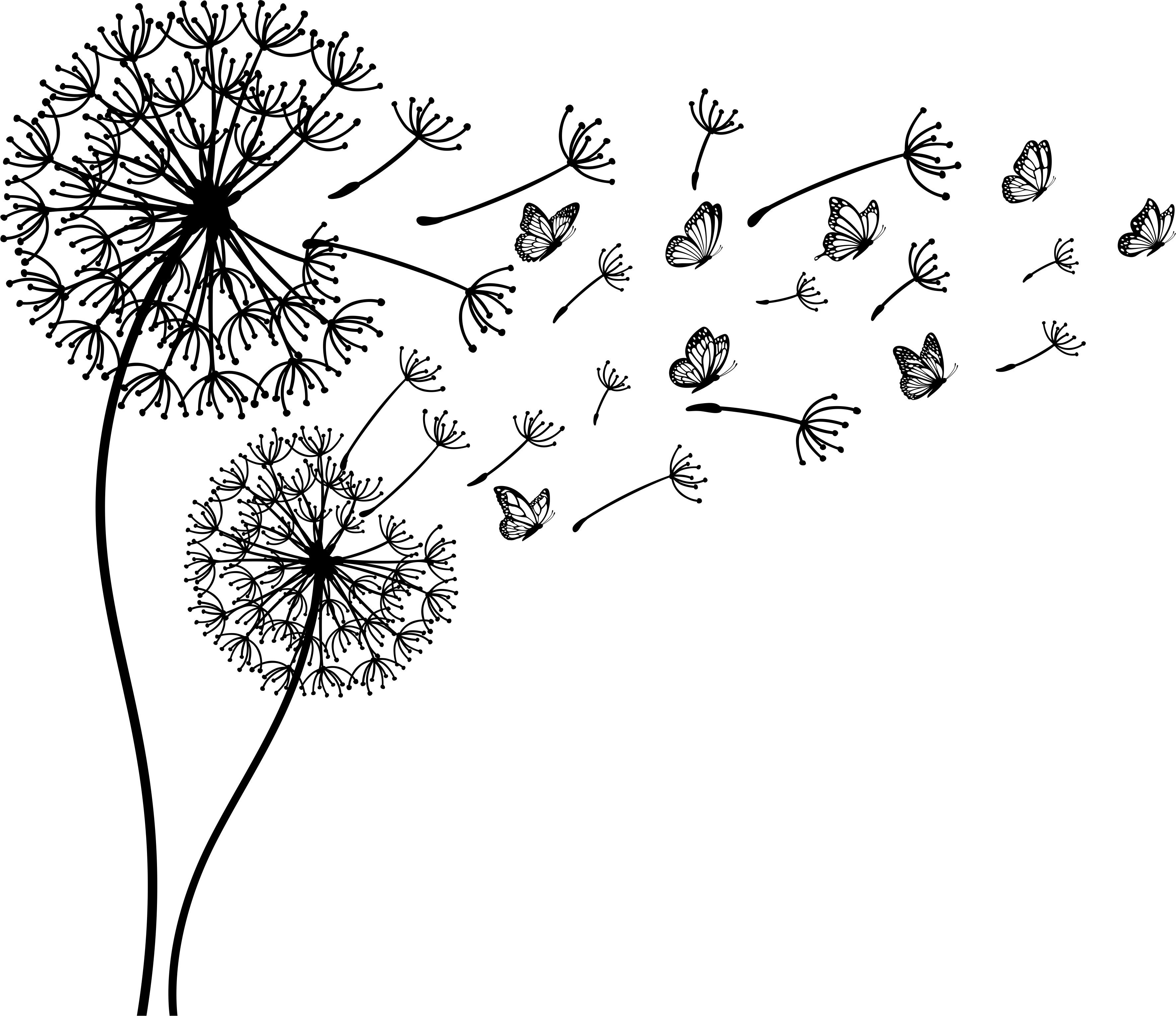 Wandtattoodesign Wandtattoo Aufkleber Pusteblume mit Schmetterlinge günstig online kaufen