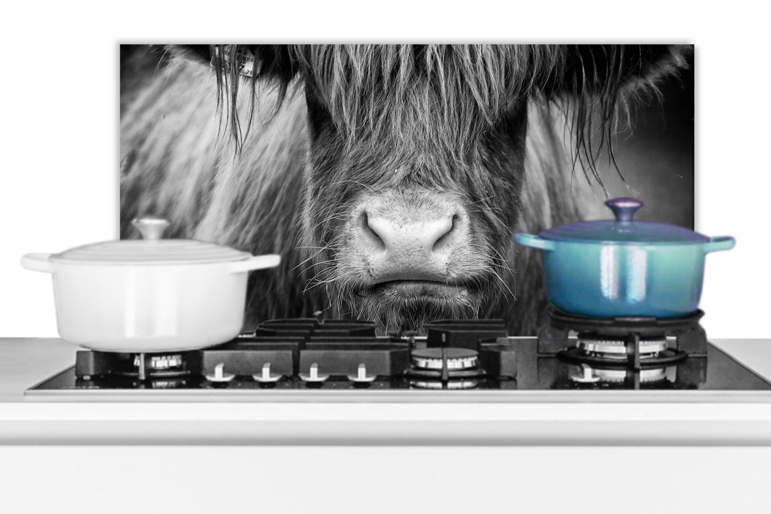 (1-tlg), cm, Kuh Schwarz - gegen Küchenrückwand - - und Fett Tiere, Weiß Highlander MuchoWow Küchen Schmutzflecken Schottischer für 60x30 Wandschutz, -